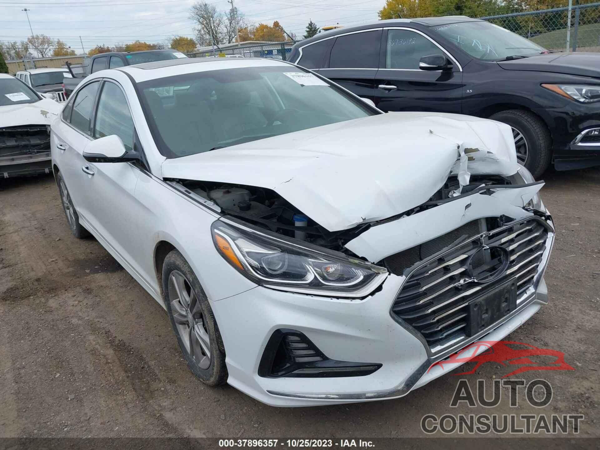 HYUNDAI SONATA 2018 - 5NPE34AF6JH619052