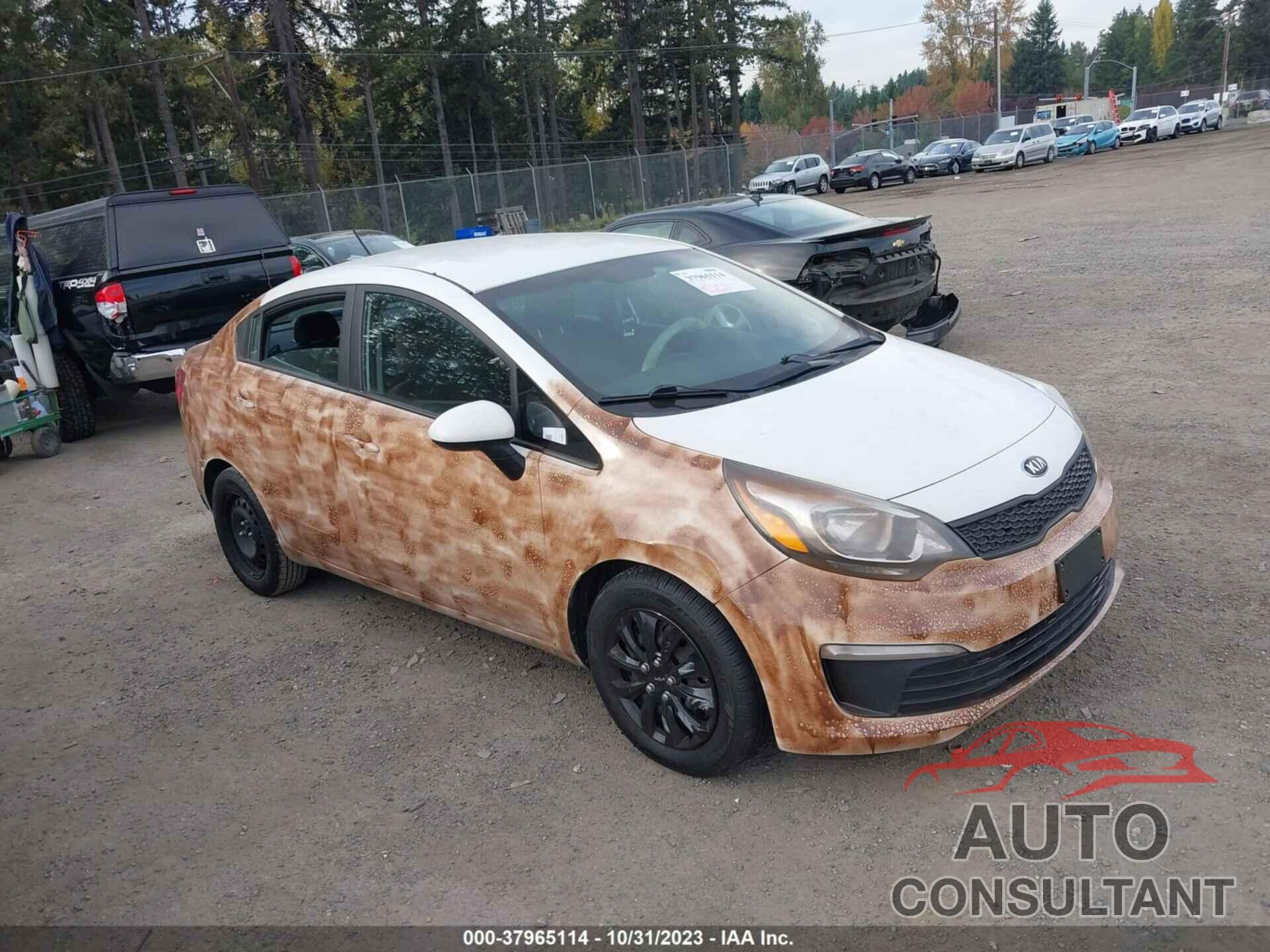 KIA RIO 2016 - KNADM4A30G6558568