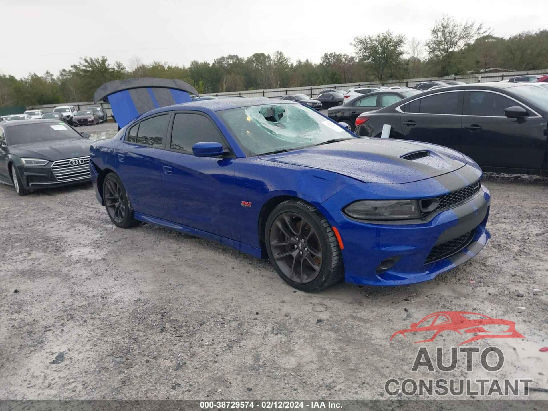 DODGE CHARGER 2022 - 2C3CDXGJ8NH227839