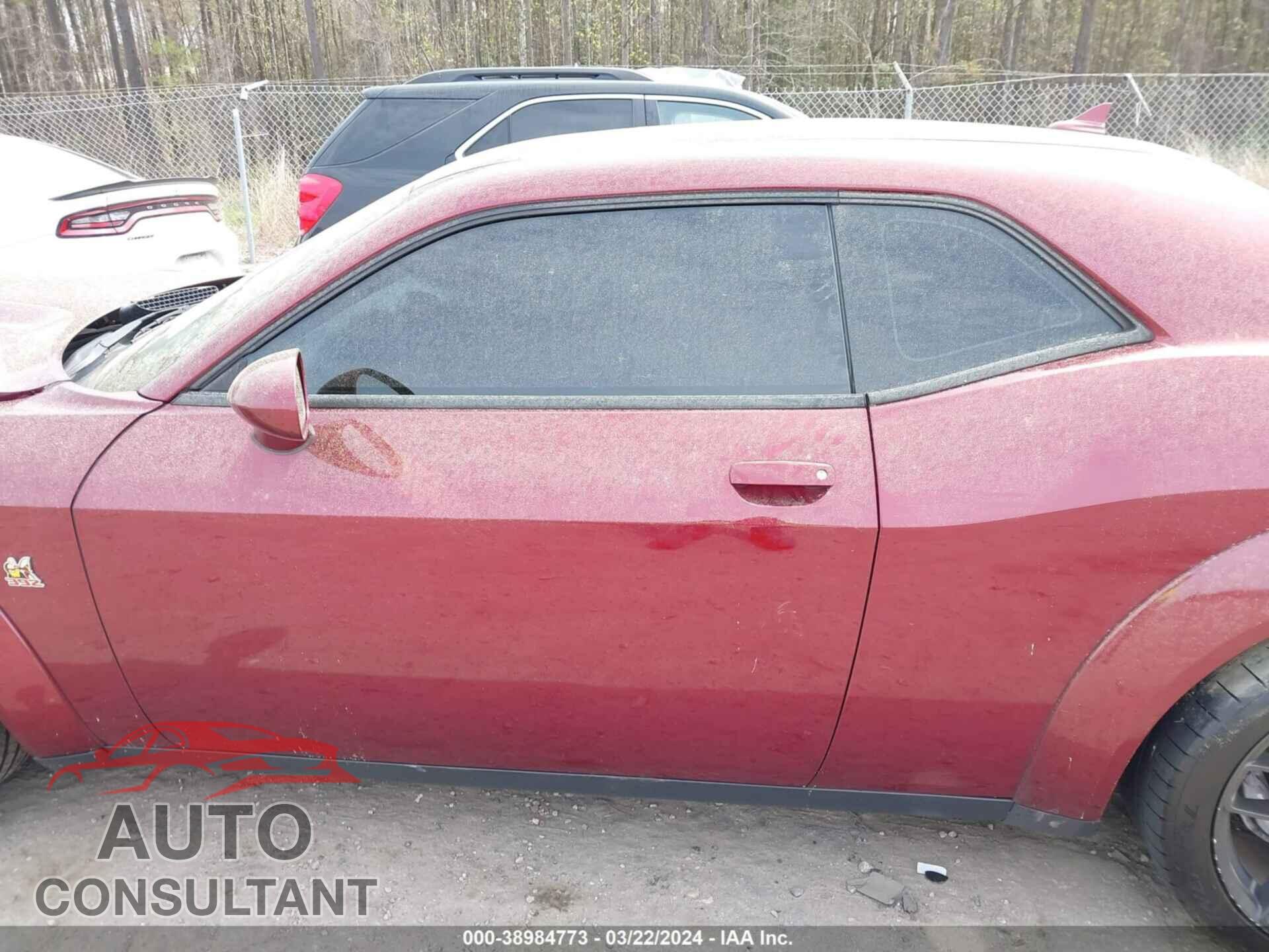 DODGE CHALLENGER 2019 - 2C3CDZFJXKH534843