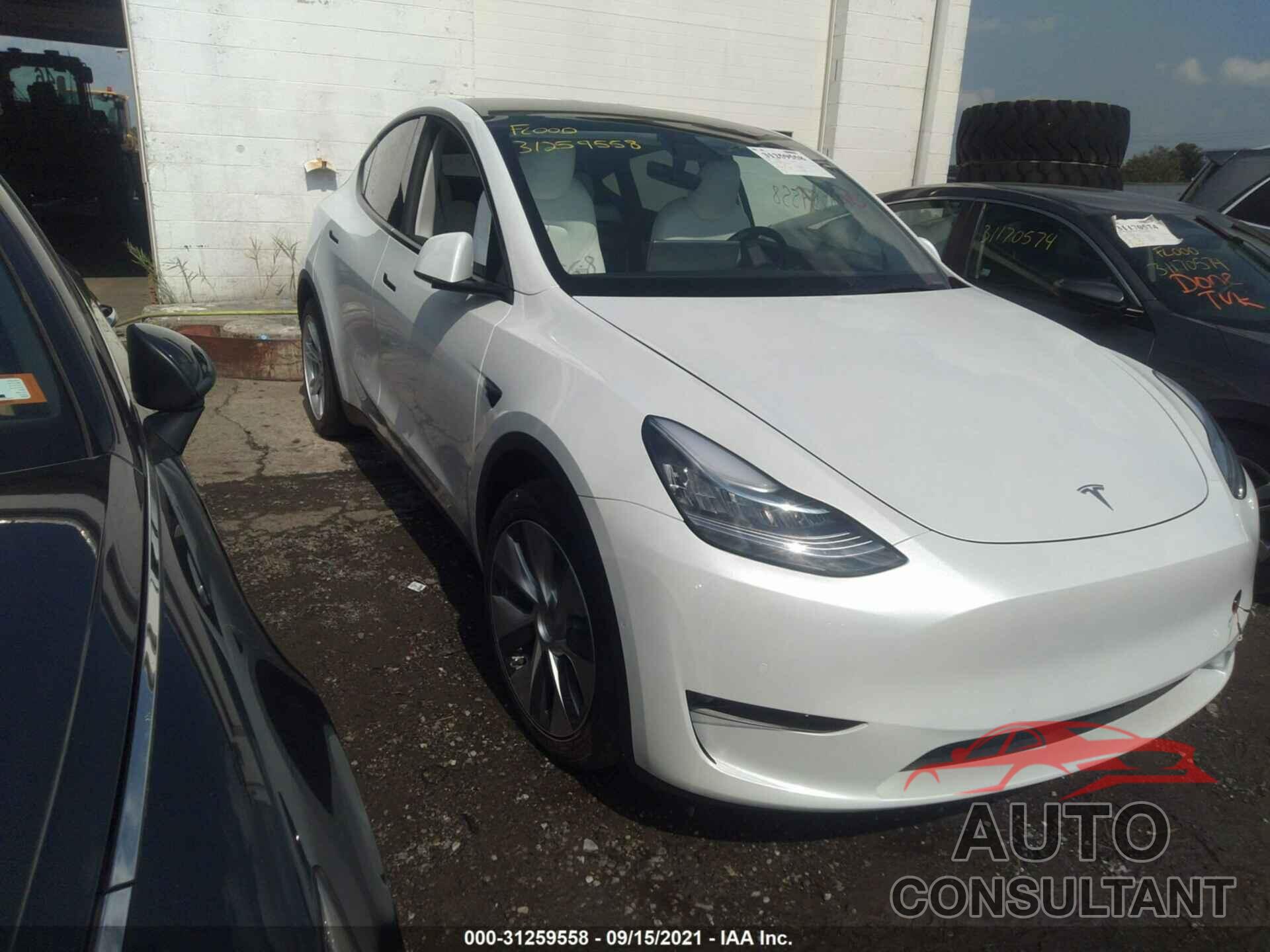TESLA MODEL Y 2021 - 5YJYGDEEXMF228704