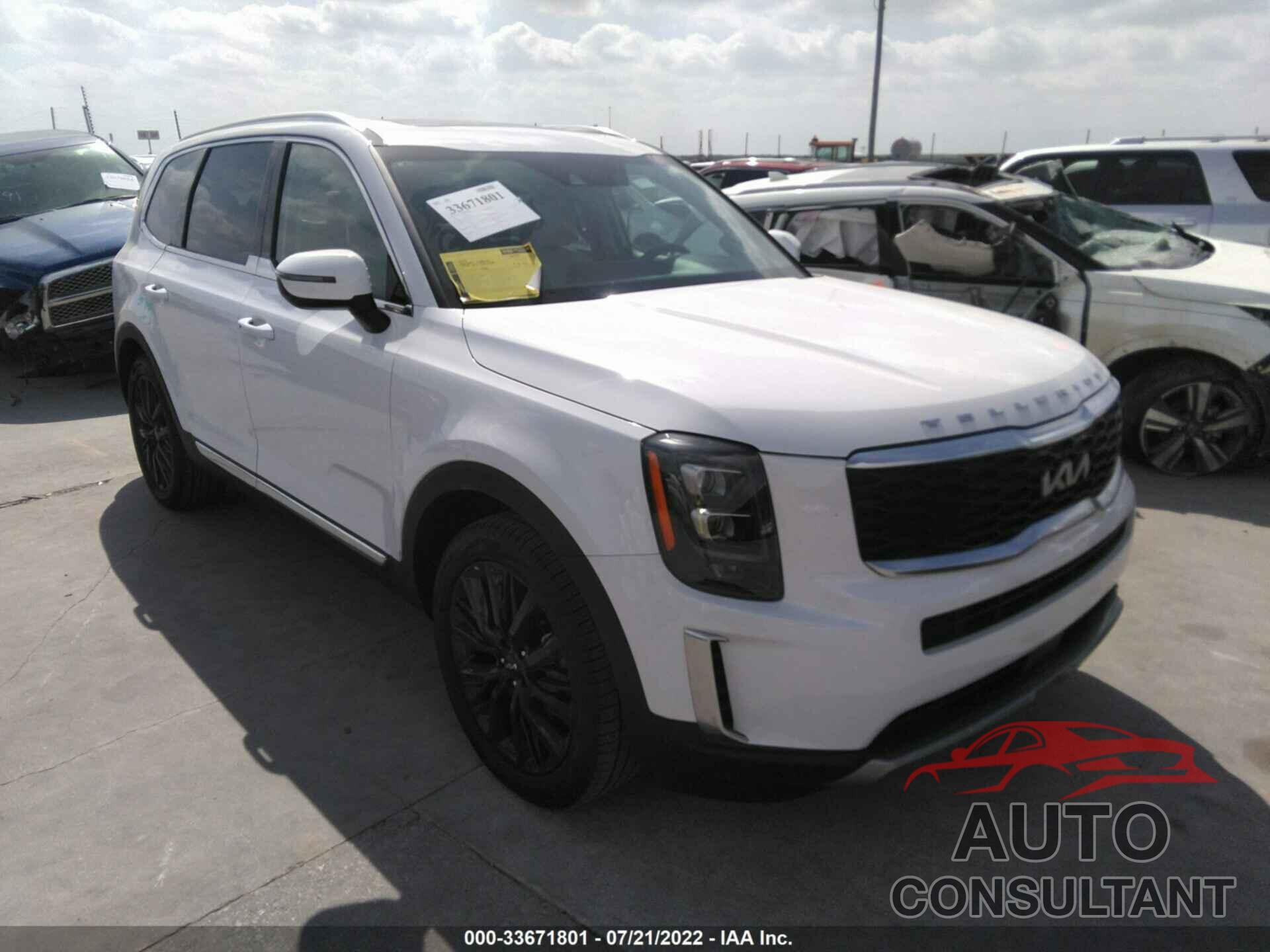 KIA TELLURIDE 2022 - 5XYP34HC5NG278213