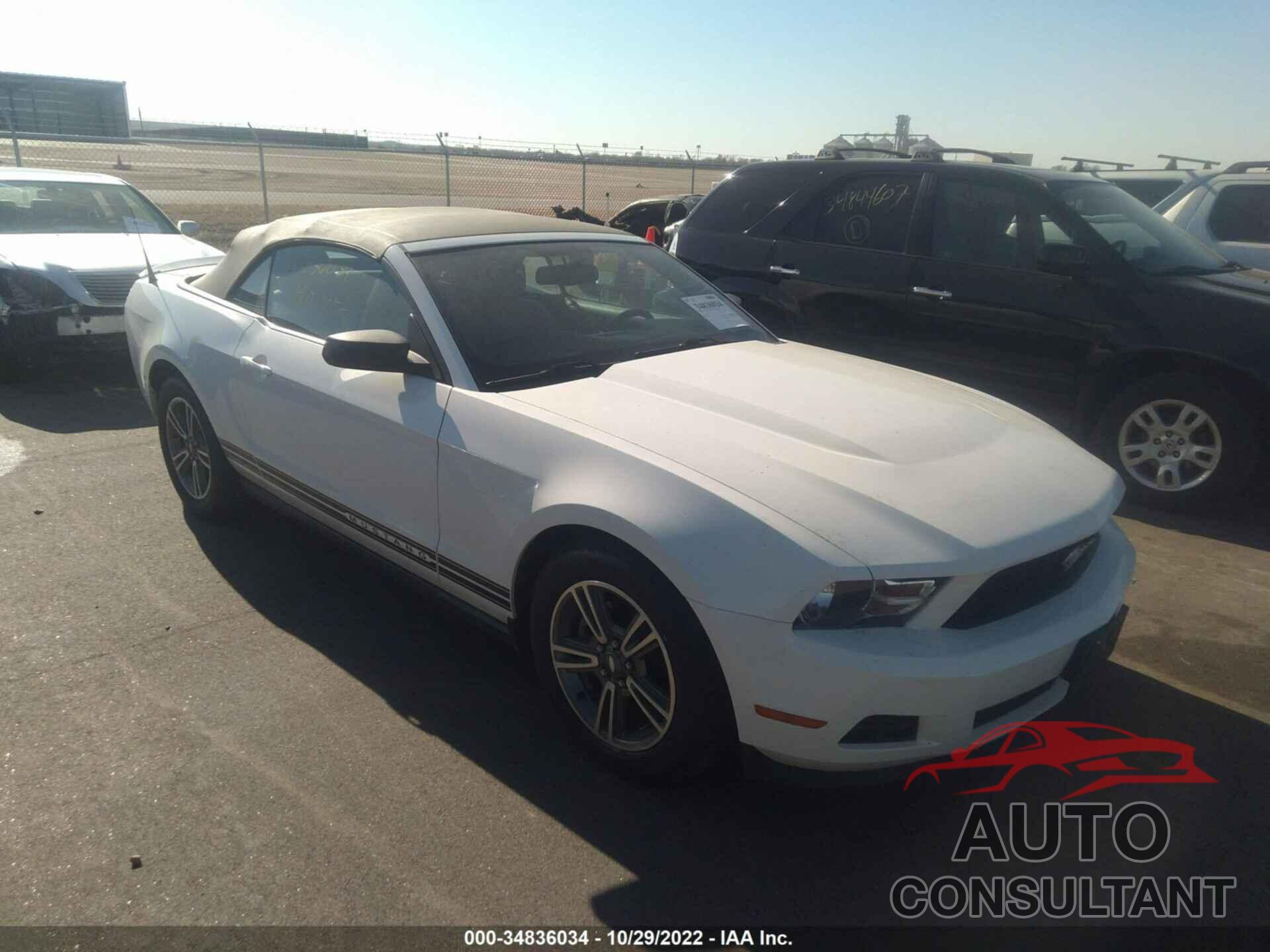 FORD MUSTANG 2011 - 1ZVBP8EM1B5108970