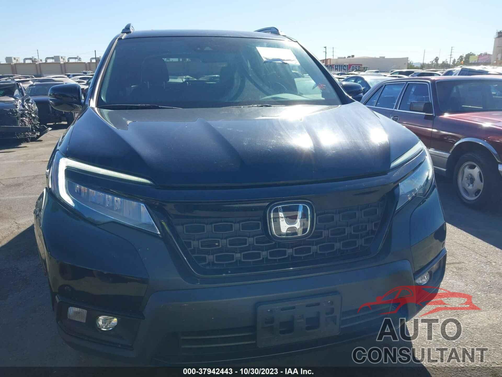 HONDA PASSPORT 2019 - 5FNYF8H09KB017646