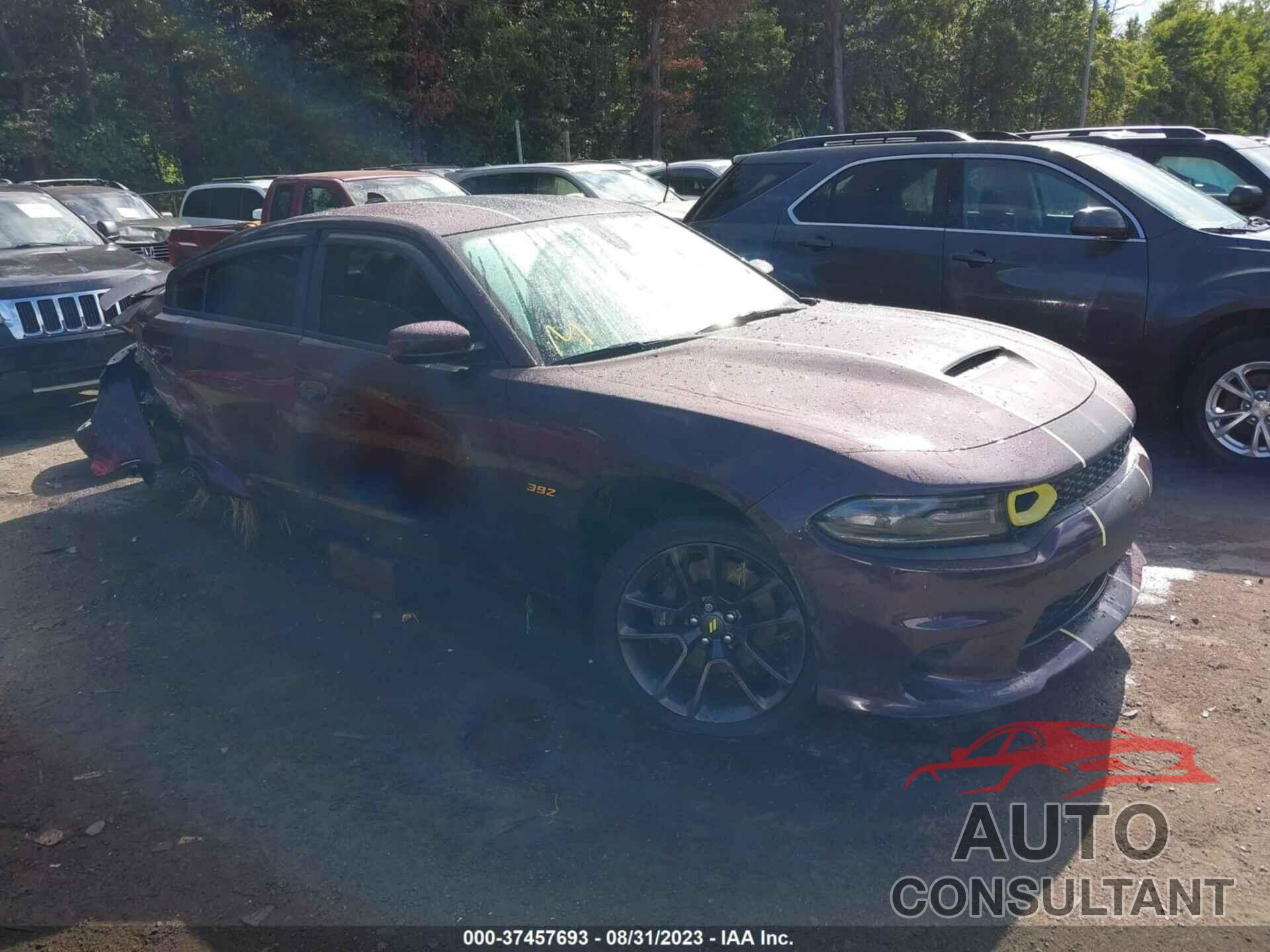 DODGE CHARGER 2021 - 2C3CDXGJ5MH684963