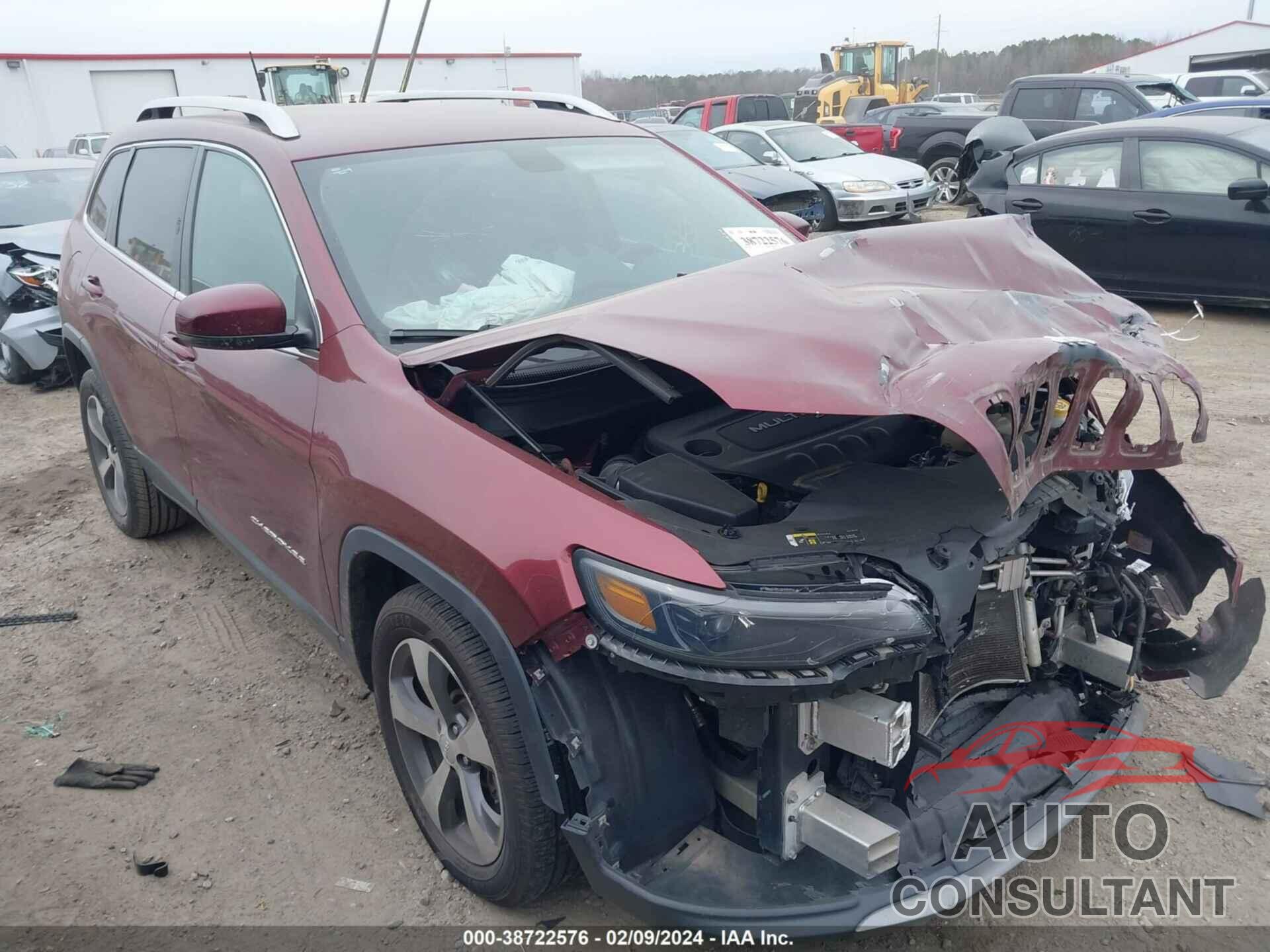 JEEP CHEROKEE 2019 - 1C4PJLDB9KD232990