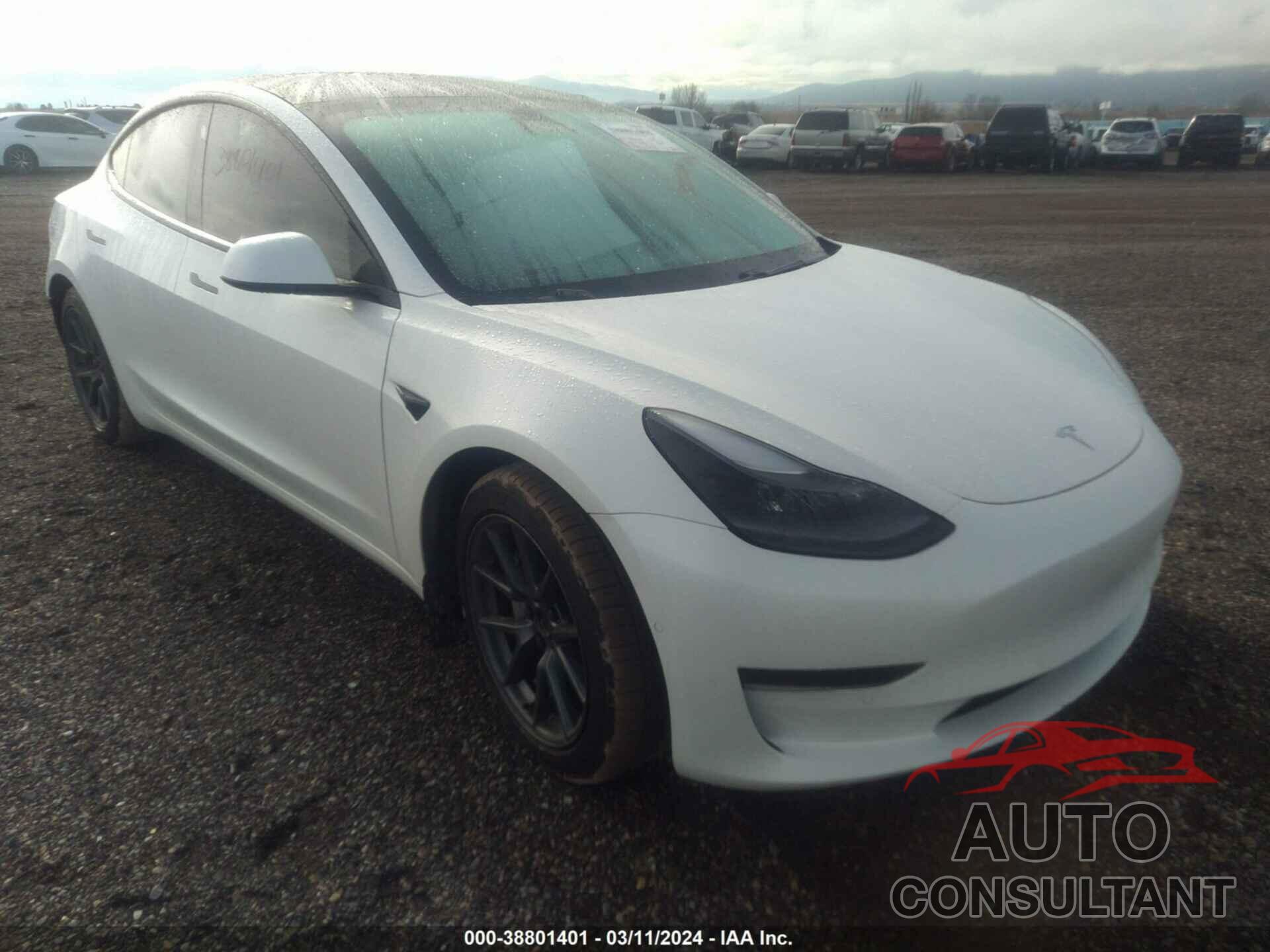 TESLA MODEL 3 2021 - 5YJ3E1EAXMF986974