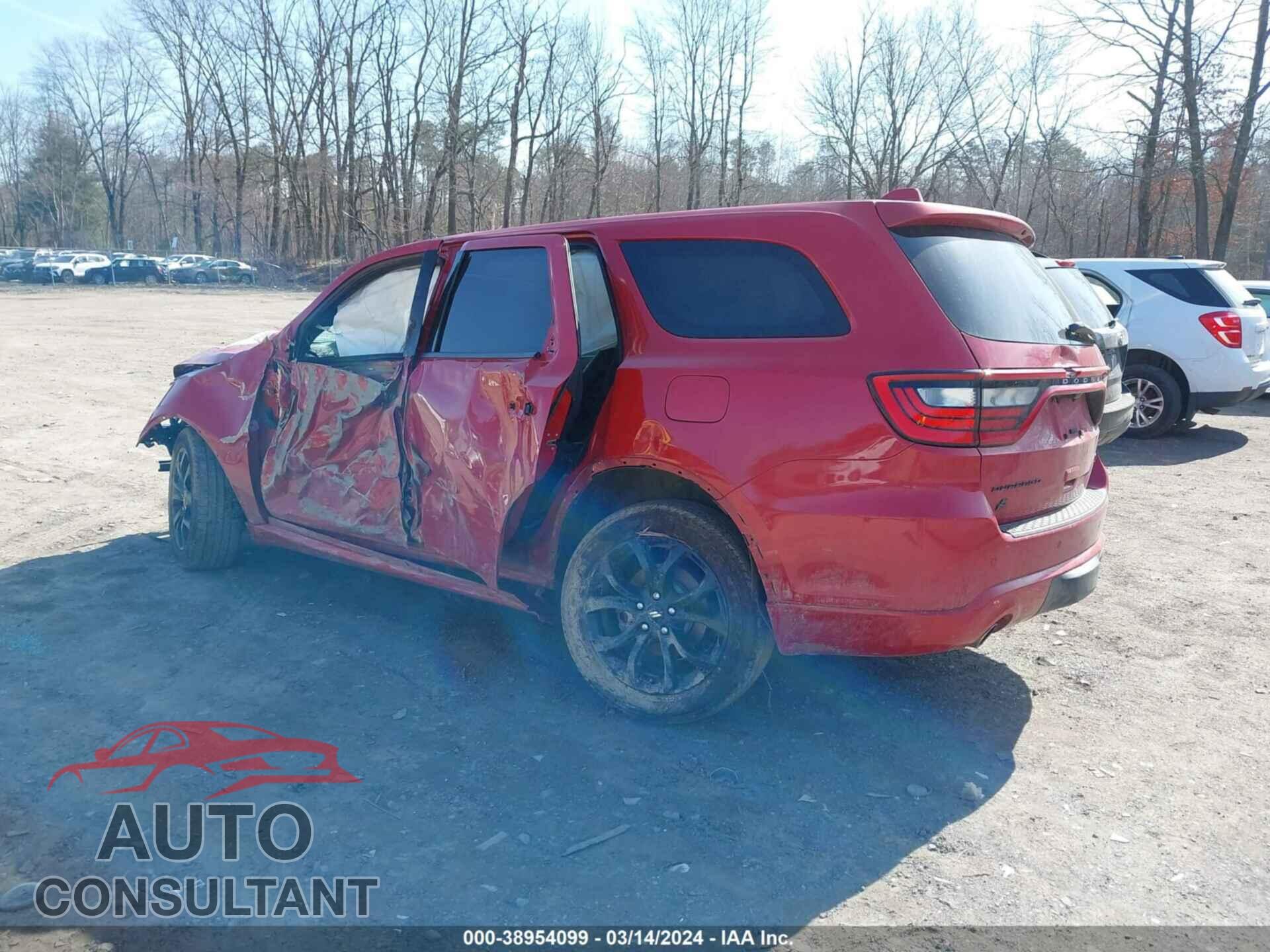 DODGE DURANGO 2019 - 1C4SDJCT2KC652774