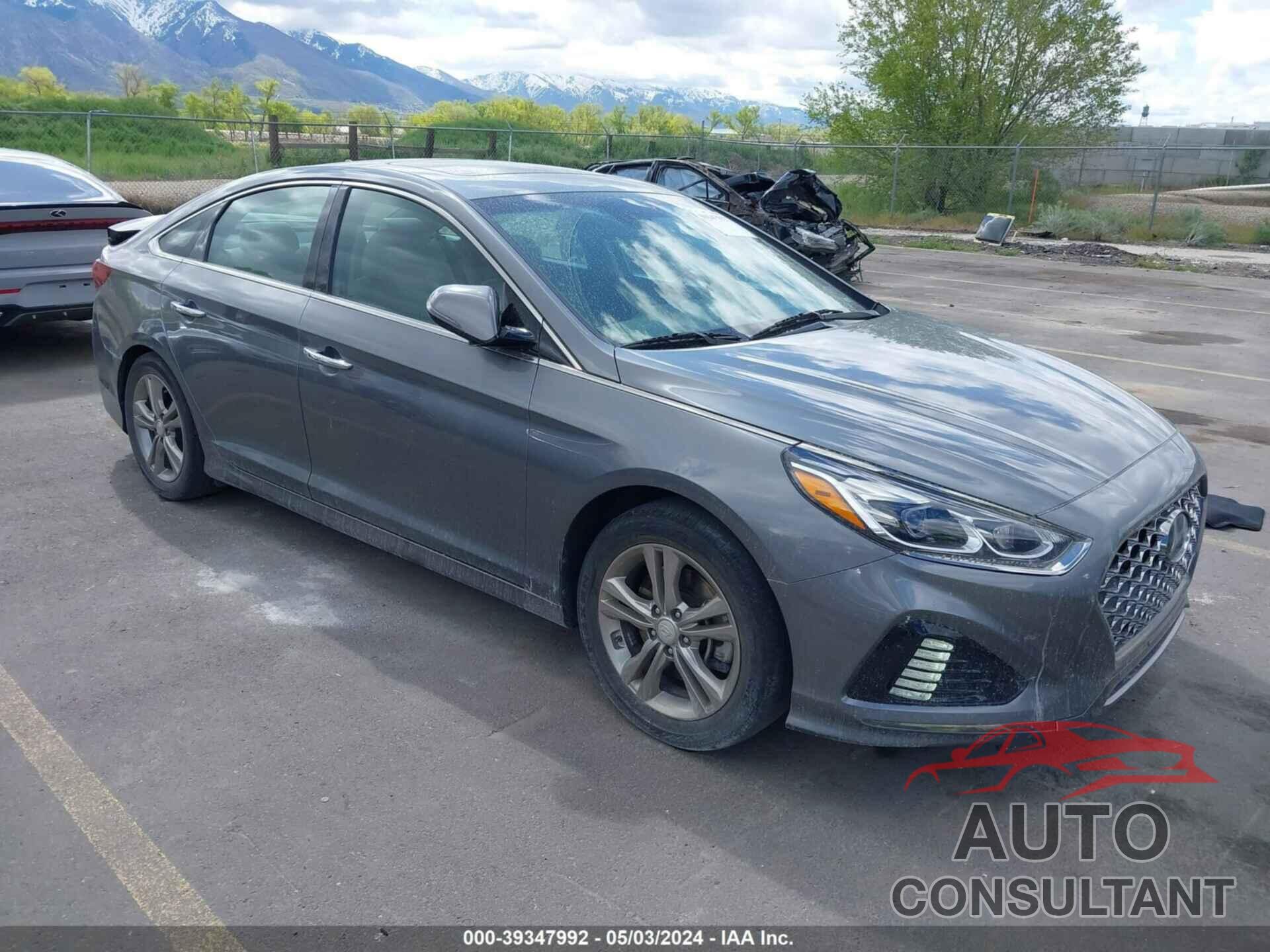 HYUNDAI SONATA 2019 - 5NPE34AFXKH775497