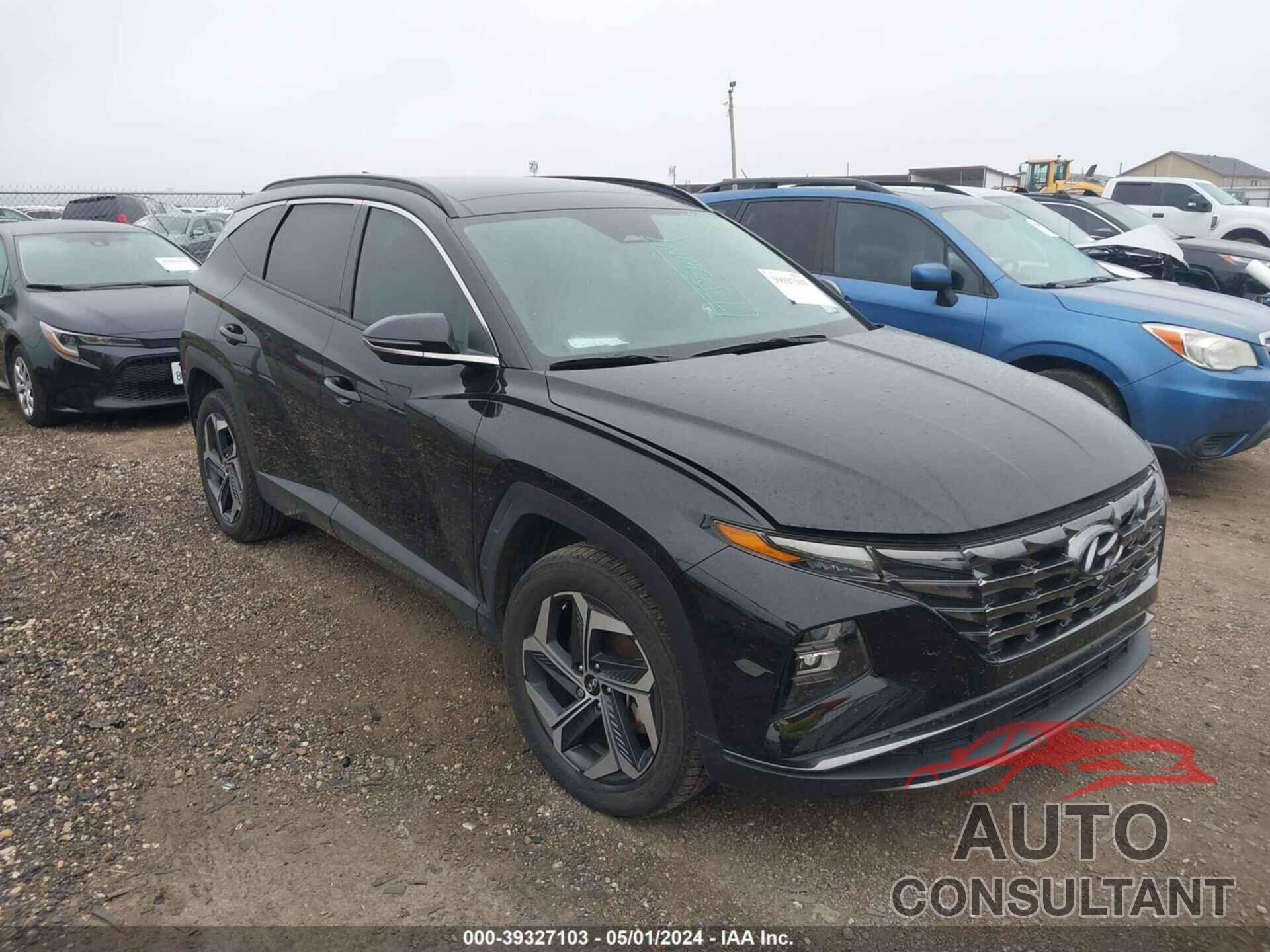 HYUNDAI TUCSON 2023 - 5NMJECAE6PH211540