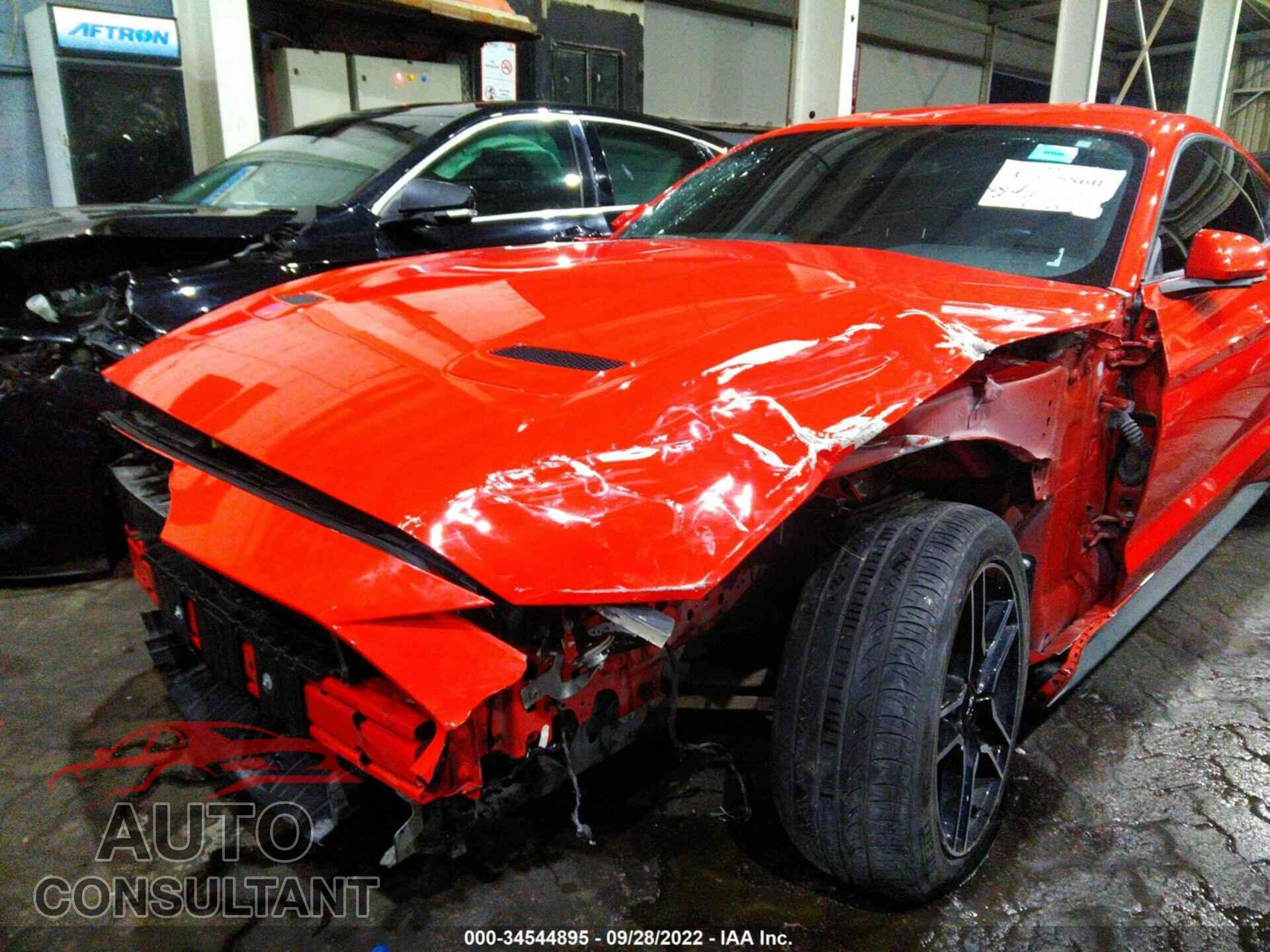 FORD MUSTANG 2019 - 00A6P8CF5K5157751