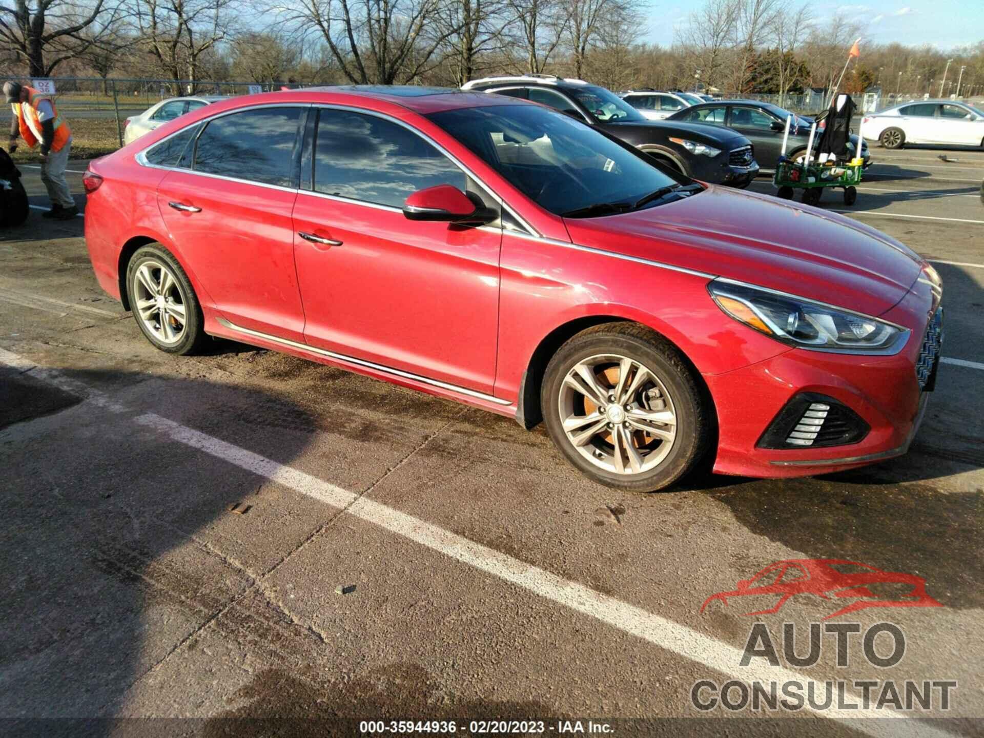 HYUNDAI SONATA 2019 - 5NPE34AF3KH806539
