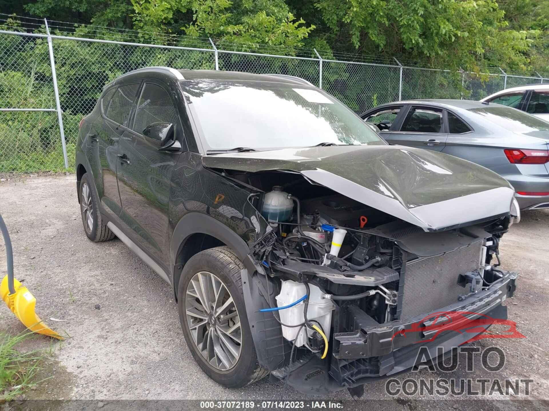 HYUNDAI TUCSON 2019 - KM8J33AL7KU064954