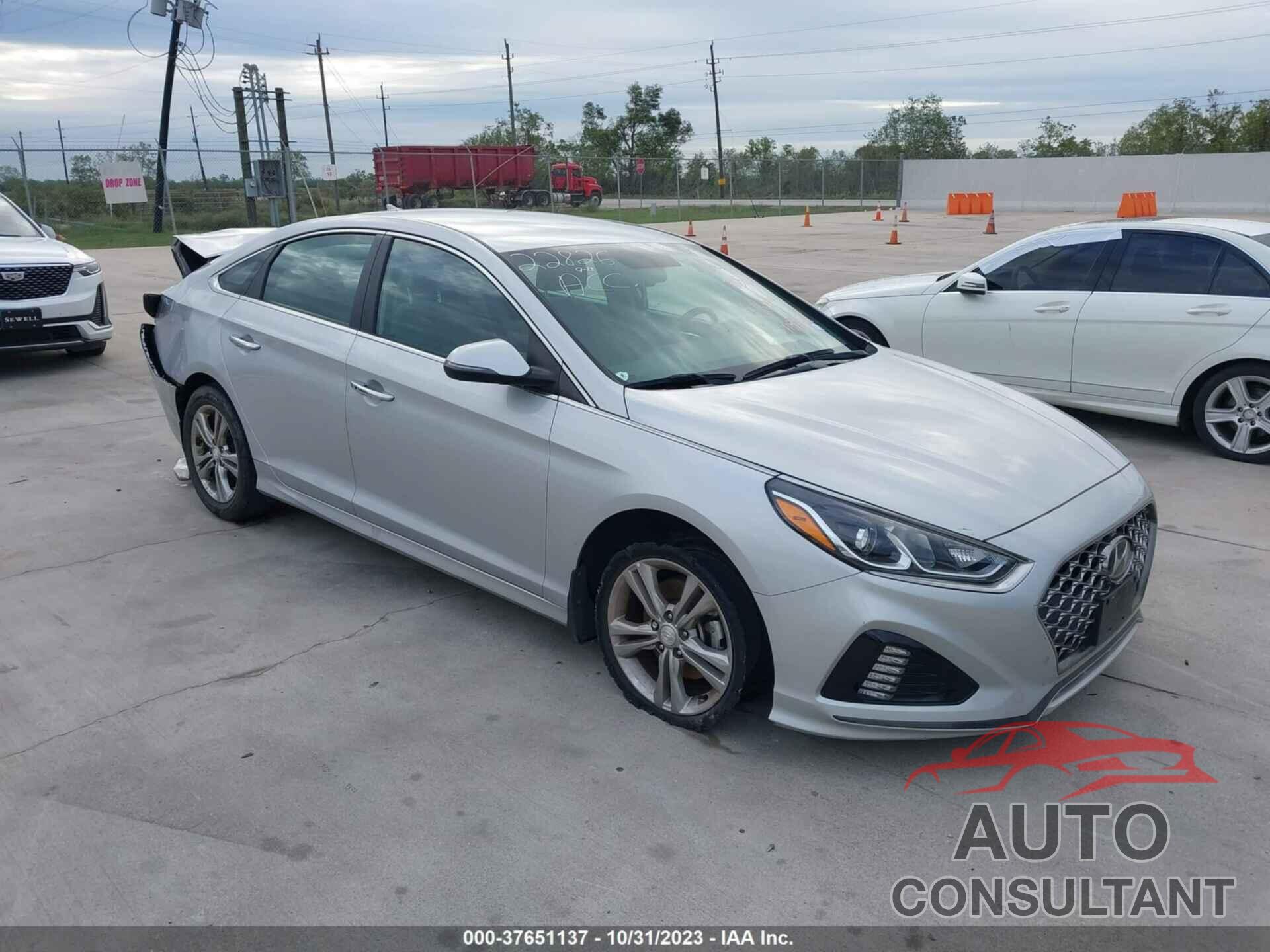 HYUNDAI SONATA 2019 - 5NPE34AF6KH794497