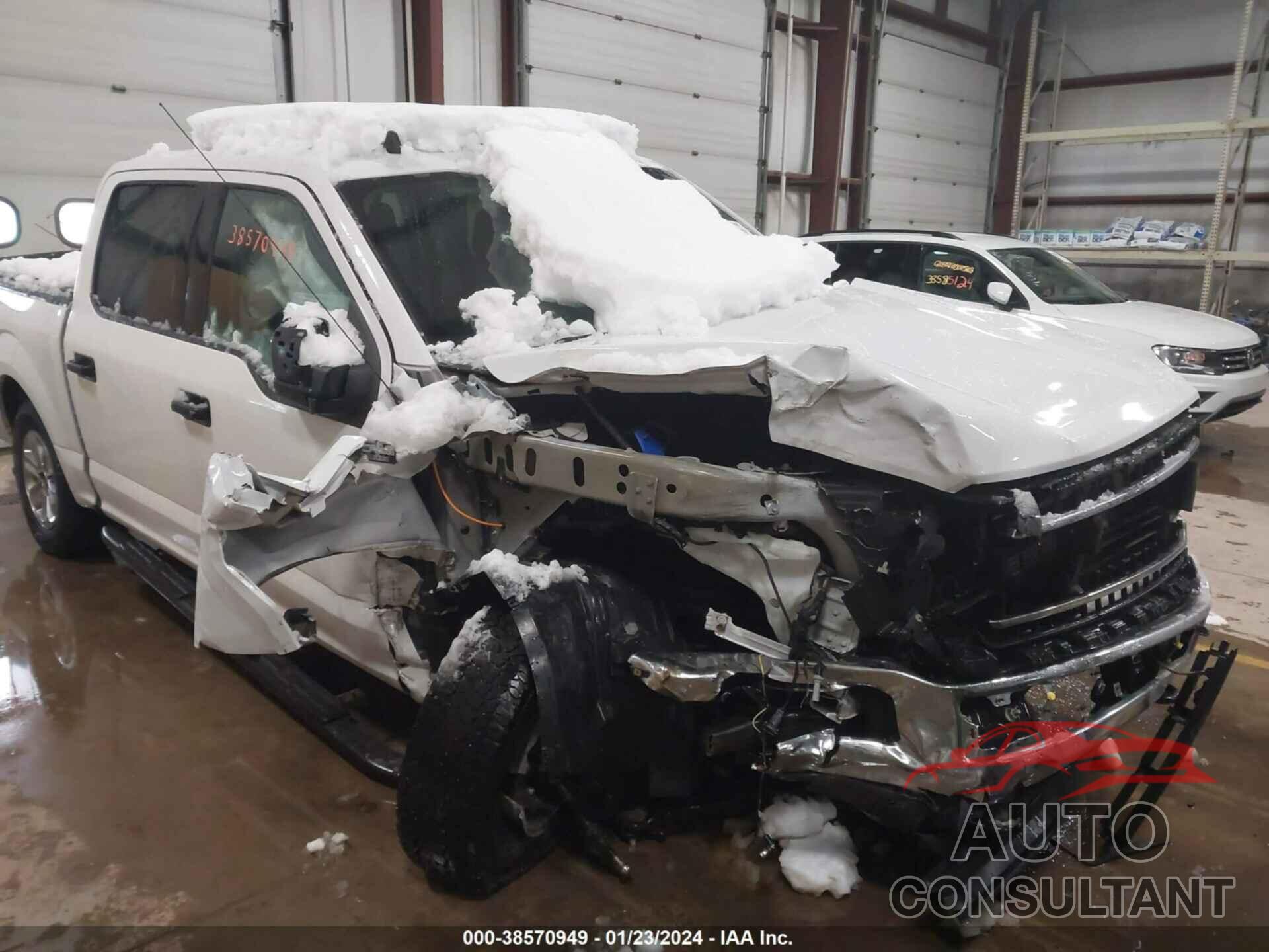 FORD F-150 2019 - 1FTEW1EB1KFD20934
