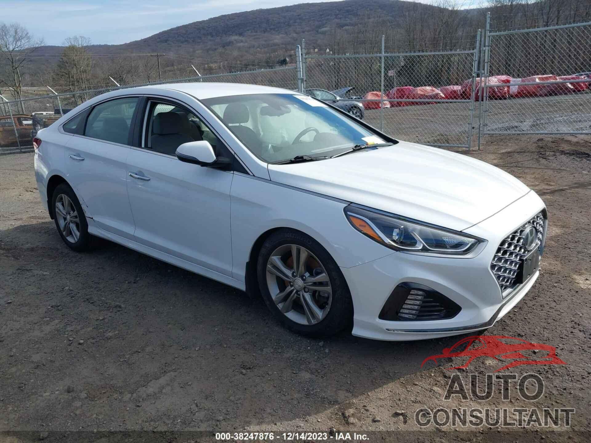 HYUNDAI SONATA 2019 - 5NPE34AF0KH797069