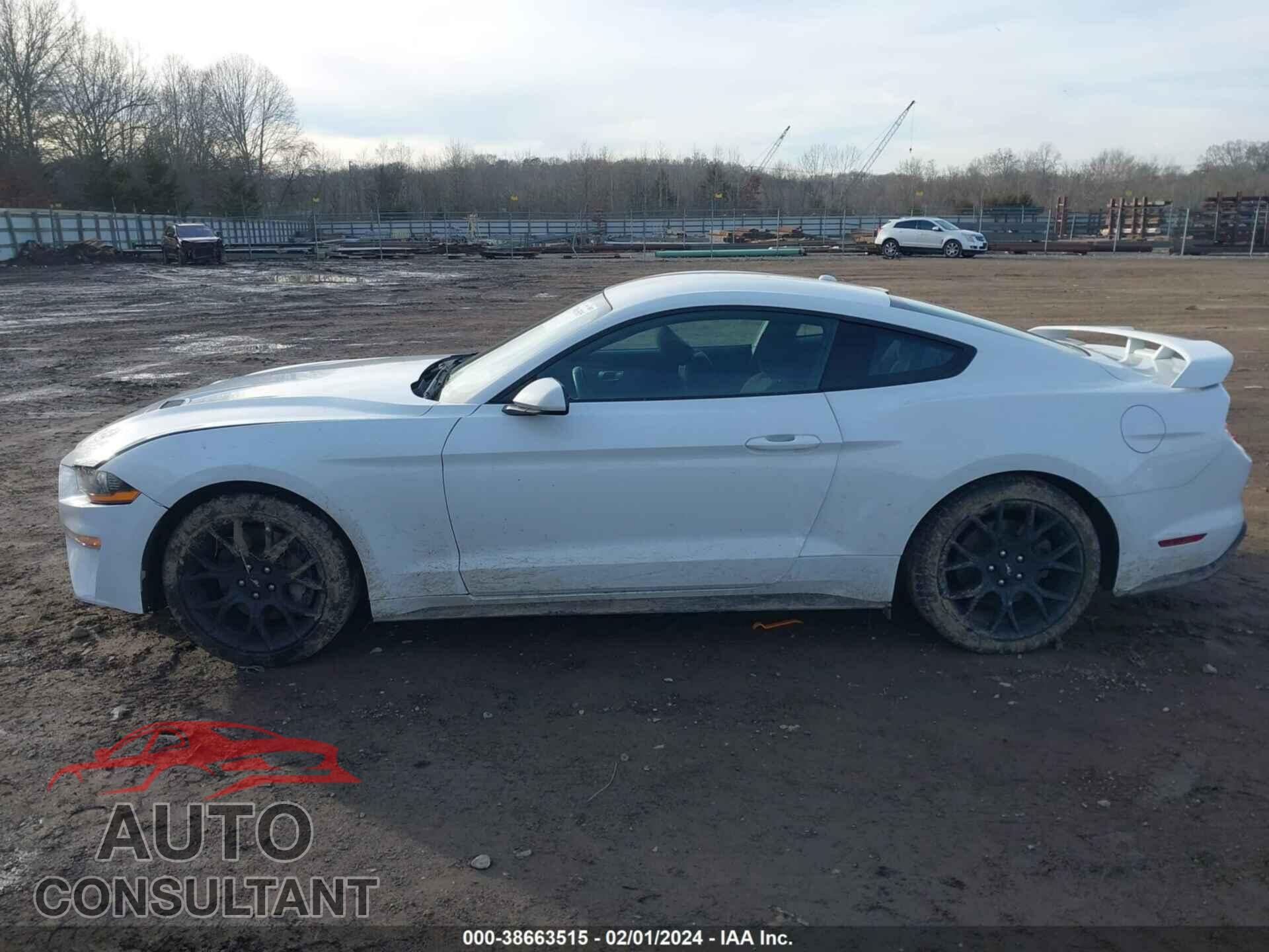 FORD MUSTANG 2019 - 1FA6P8TH3K5124412