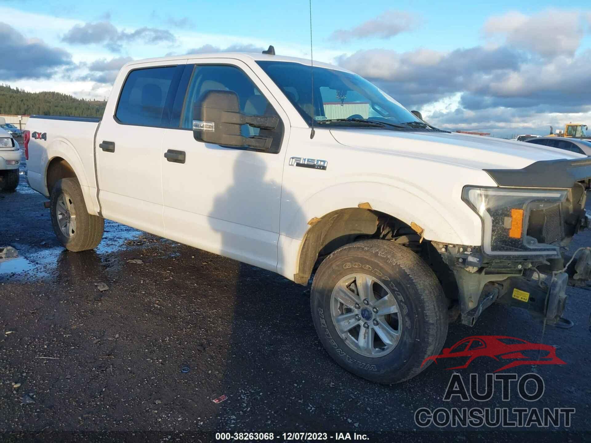 FORD F-150 2019 - 1FTEW1E5XKKC39884