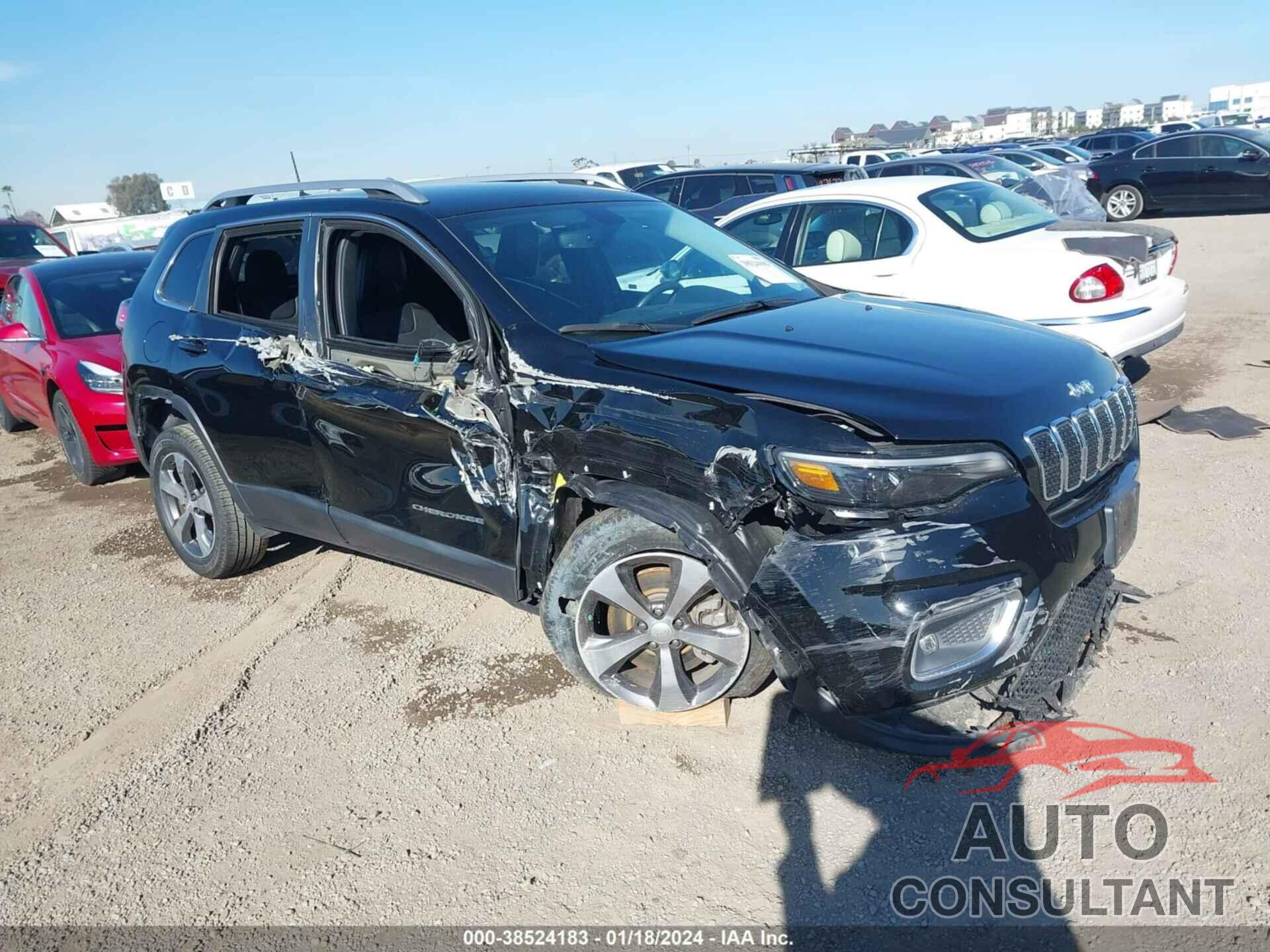 JEEP CHEROKEE 2019 - 1C4PJLDB8KD466781