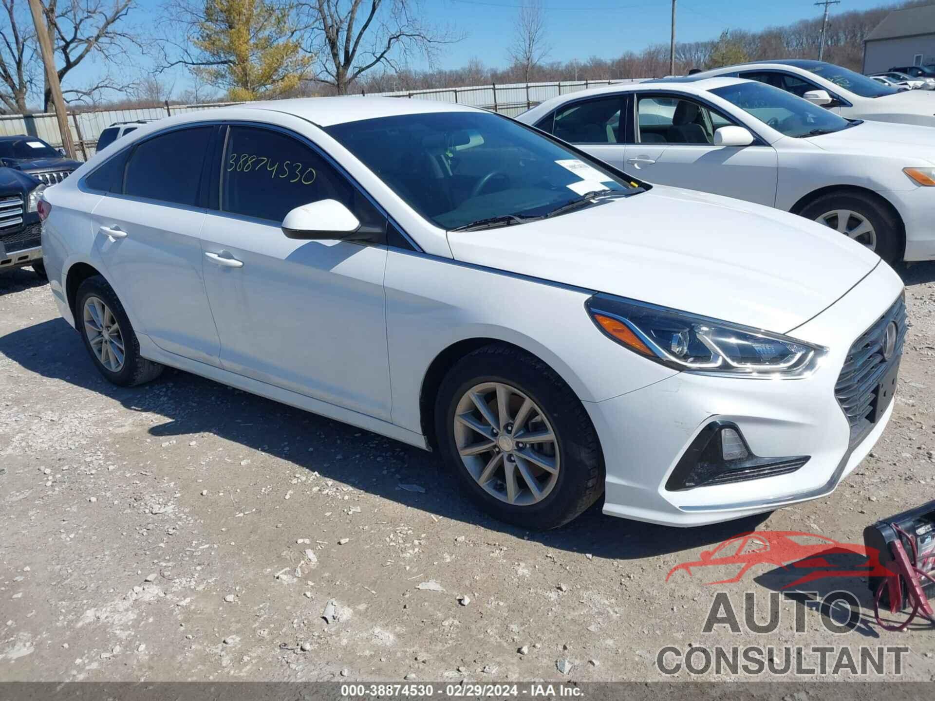 HYUNDAI SONATA 2018 - 5NPE24AF9JH613426