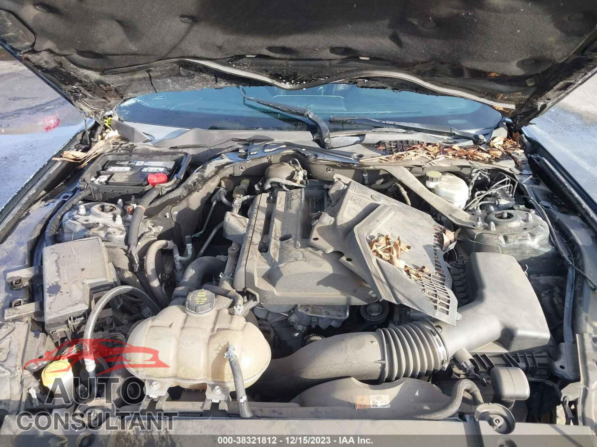 FORD MUSTANG 2016 - 1FA6P8TH4G5221500