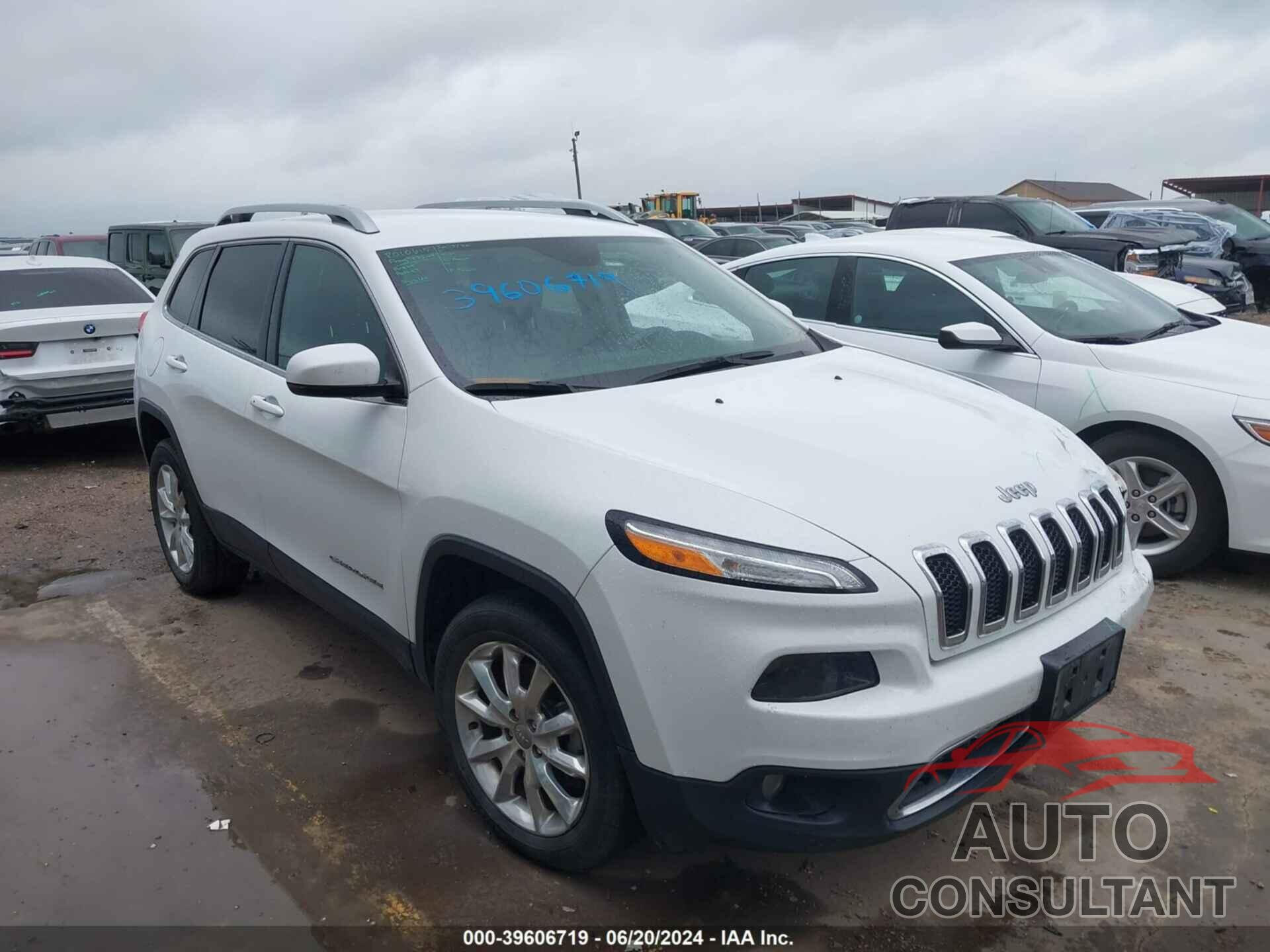 JEEP CHEROKEE 2017 - 1C4PJMDB3HW520748