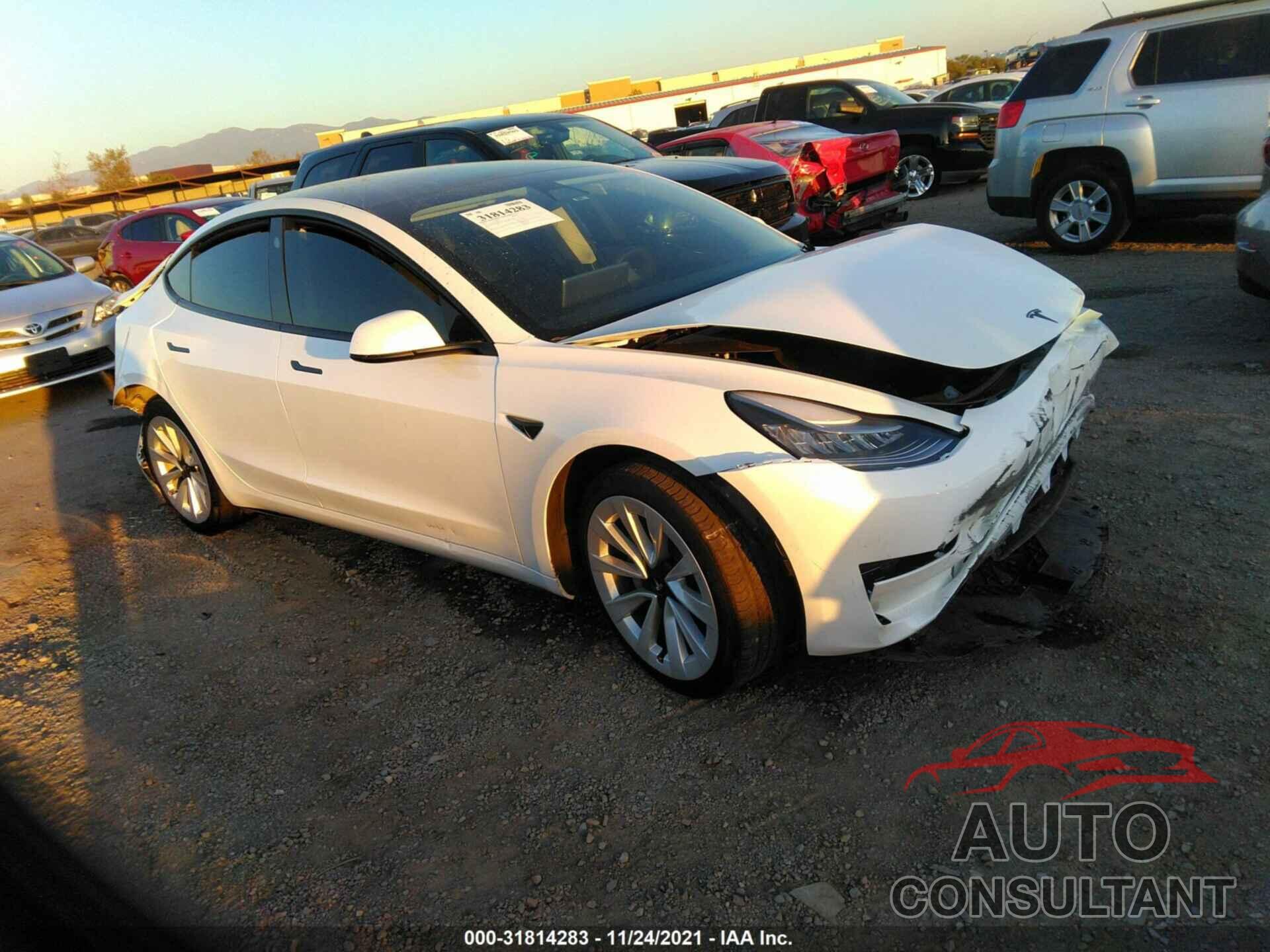 TESLA MODEL 3 2021 - 5YJ3E1EAXMF861263