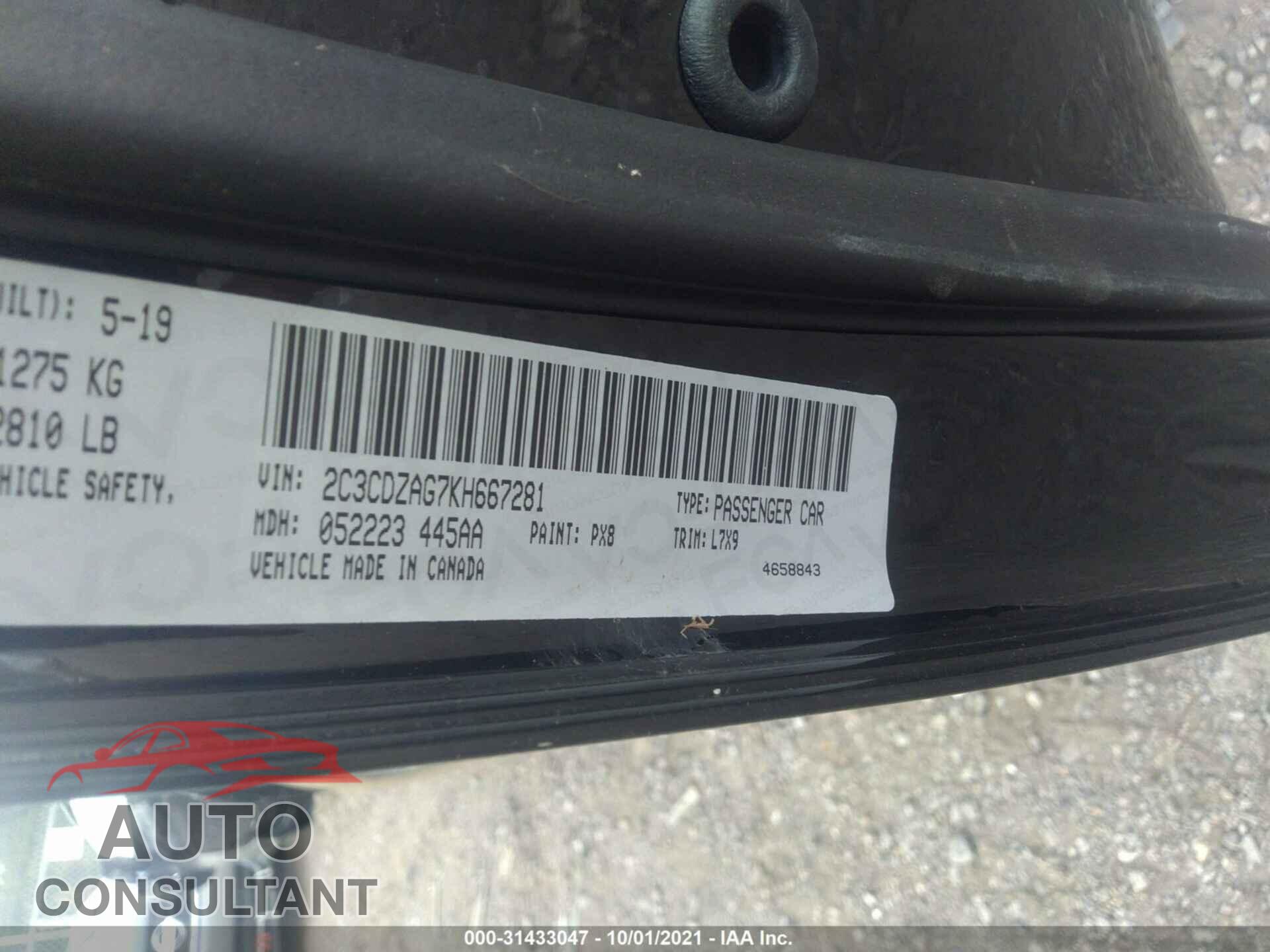 DODGE CHALLENGER 2019 - 2C3CDZAG7KH667281