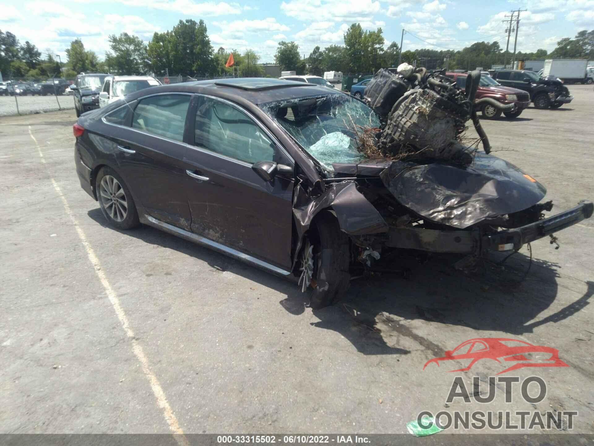 HYUNDAI SONATA 2016 - 5NPE34AF9GH413989