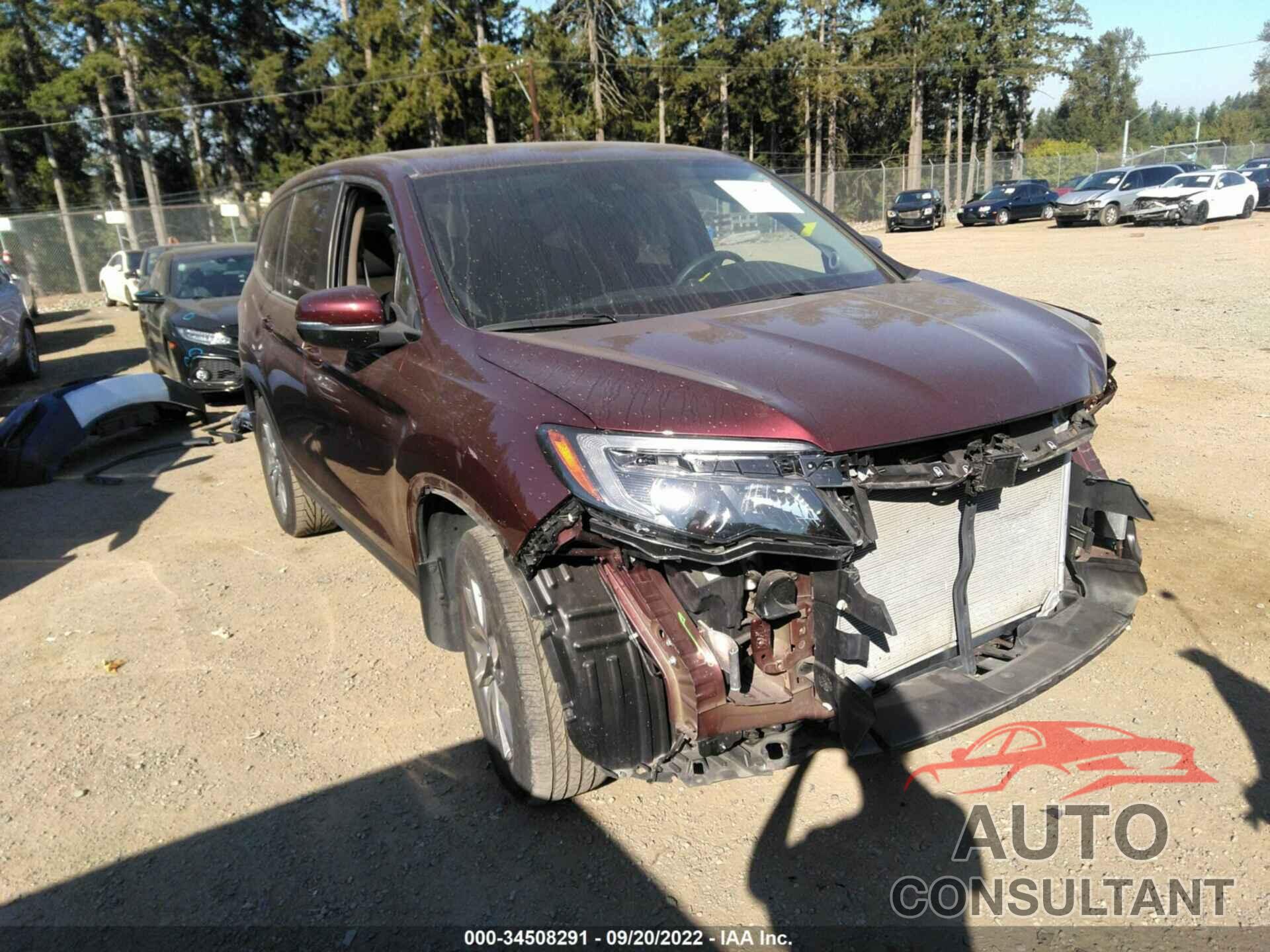 HONDA PILOT 2019 - 5FNYF6H34KB090261