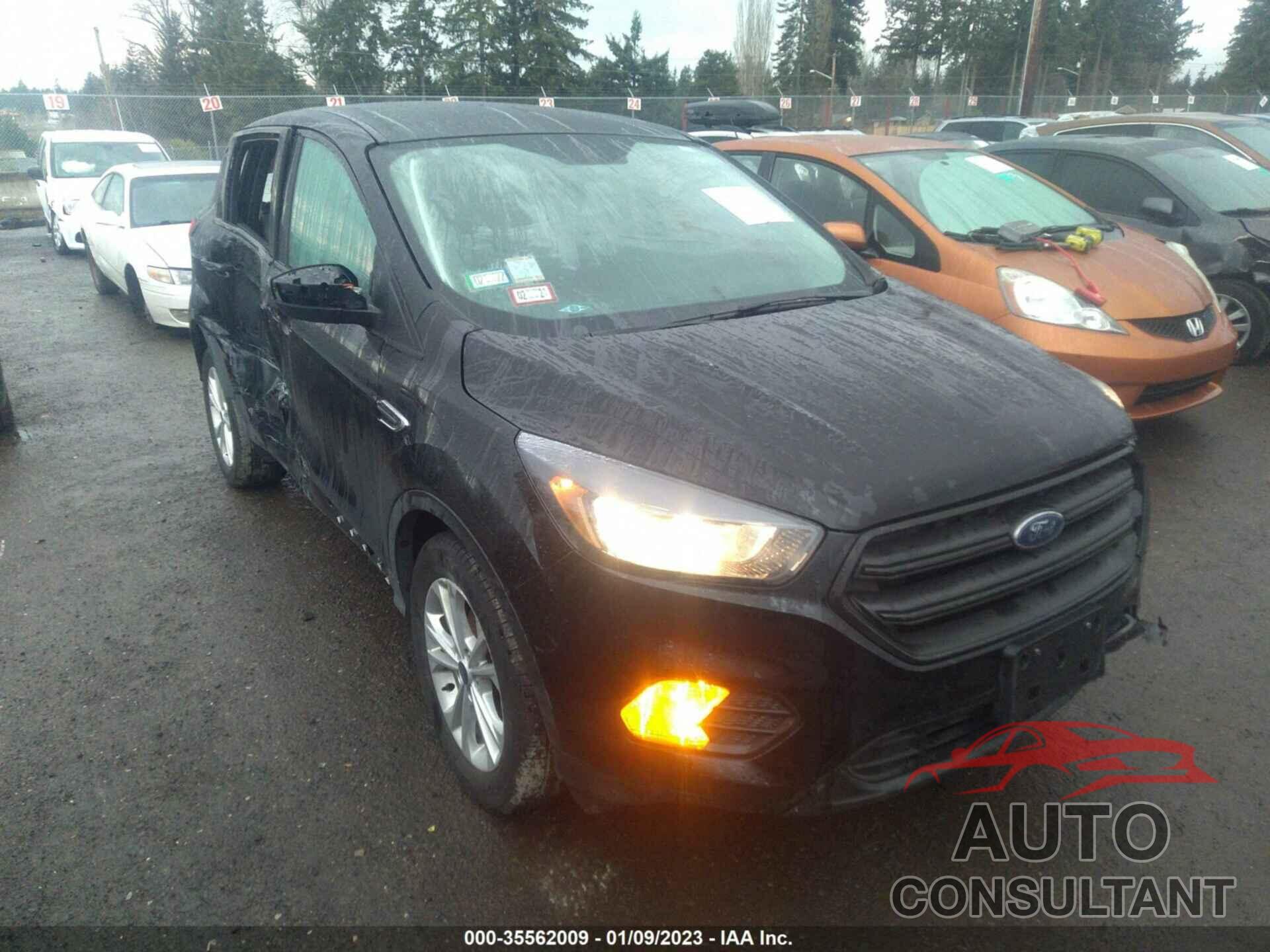 FORD ESCAPE 2019 - 1FMCU0F72KUA91768