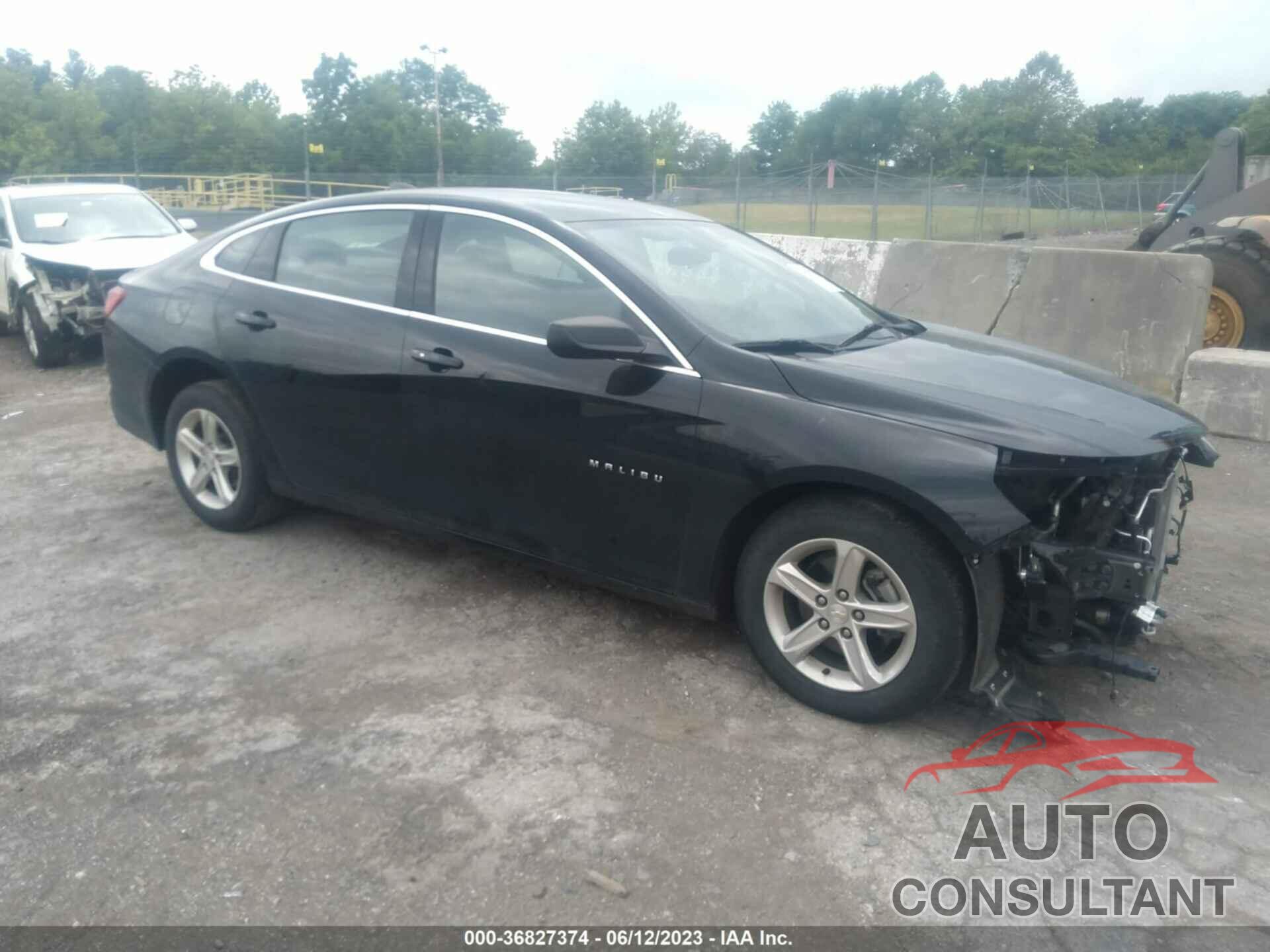 CHEVROLET MALIBU 2019 - 1G1ZC5ST5KF183519