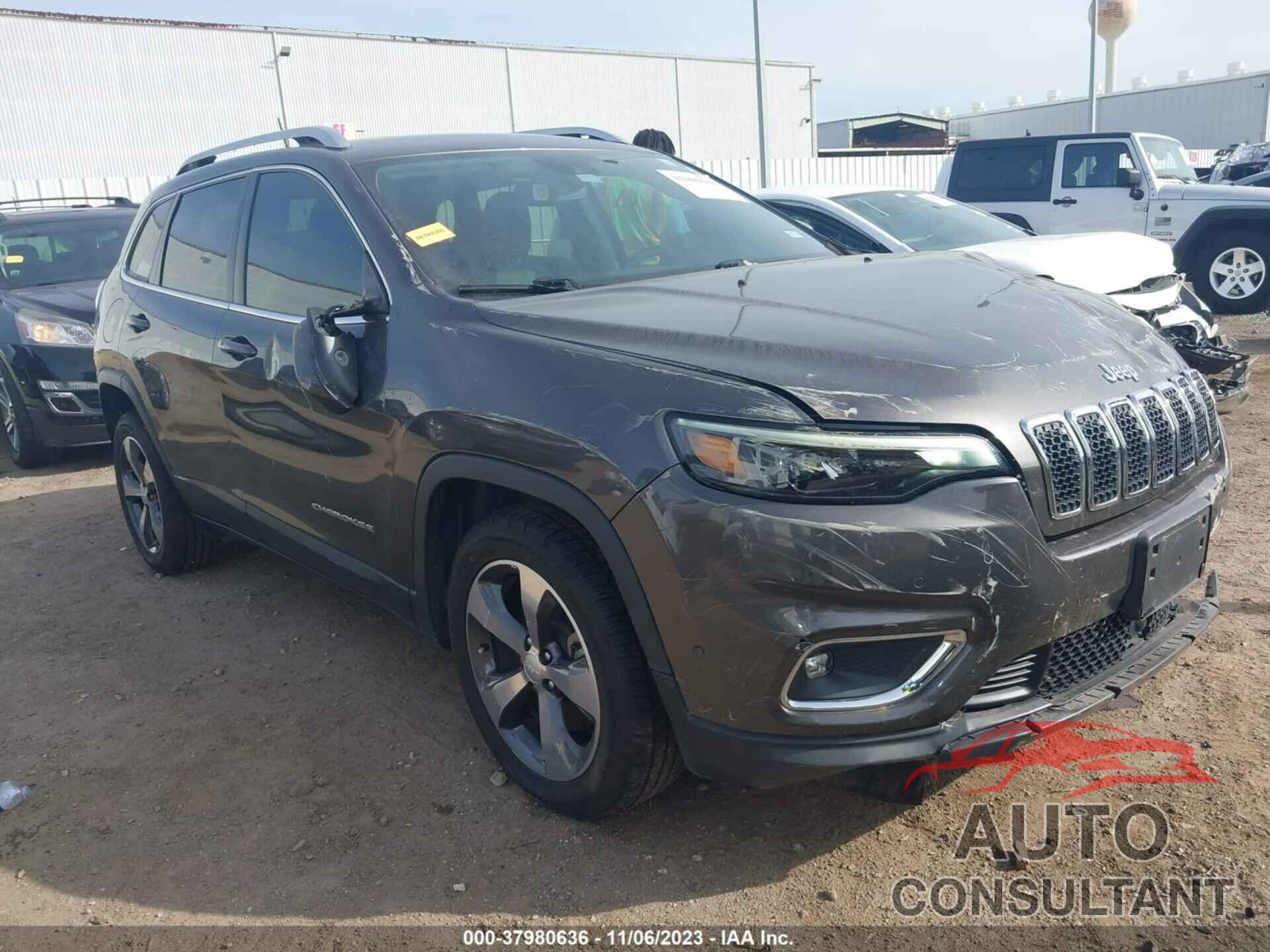 JEEP CHEROKEE 2019 - 1C4PJLDB3KD416421