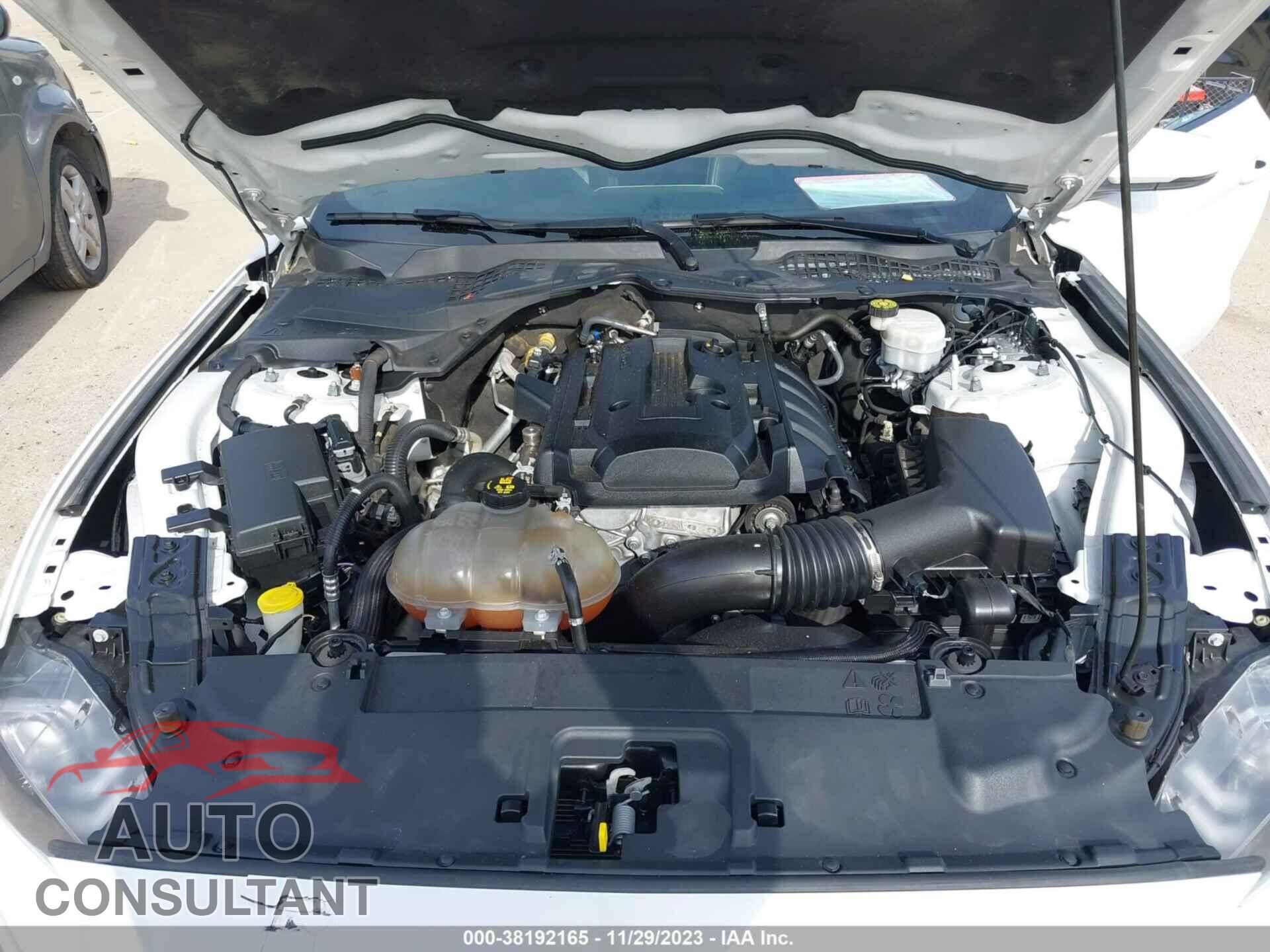 FORD MUSTANG 2019 - 1FA6P8TH0K5186561
