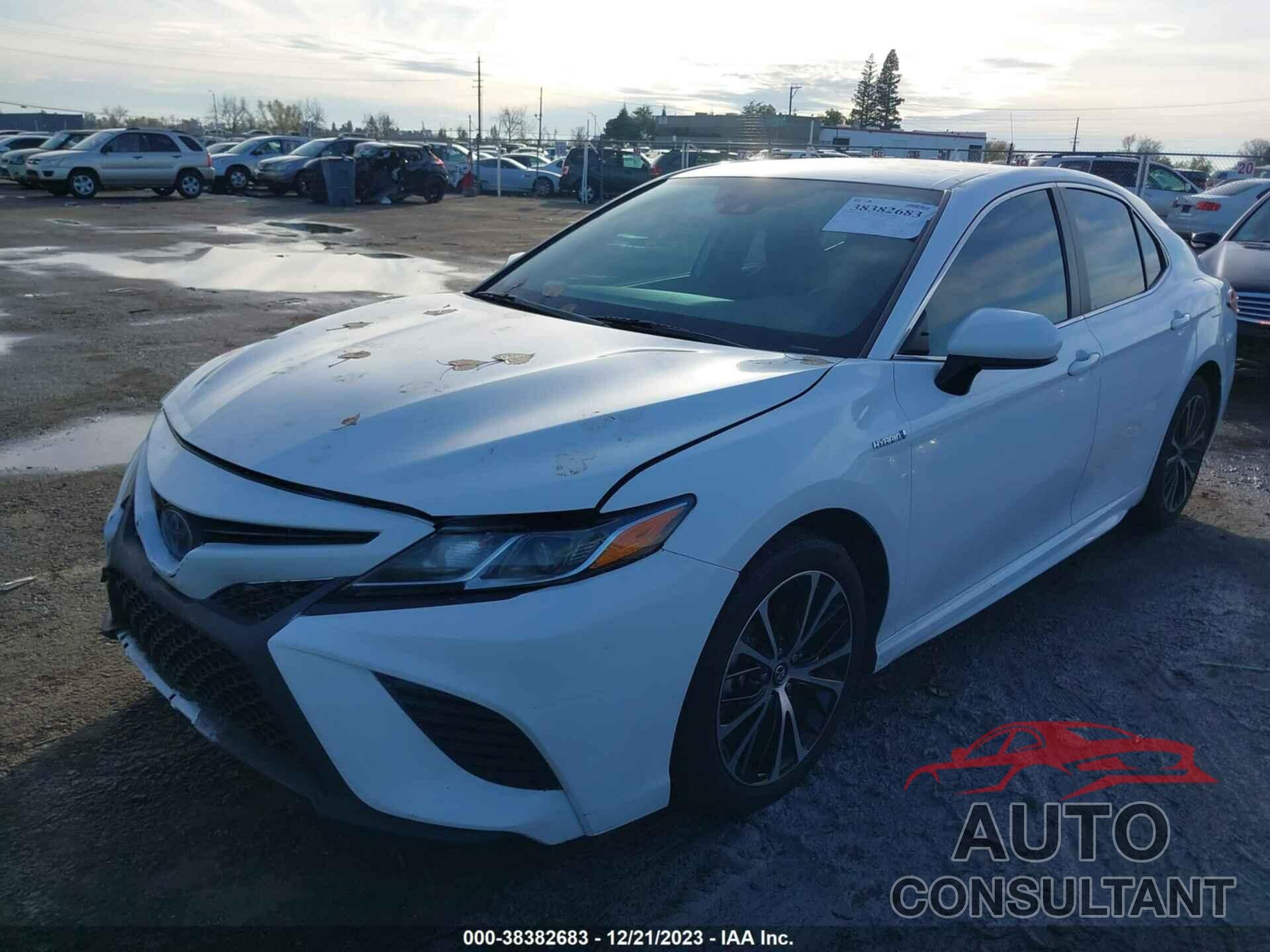 TOYOTA CAMRY HYBRID 2019 - 4T1B21HK8KU521442