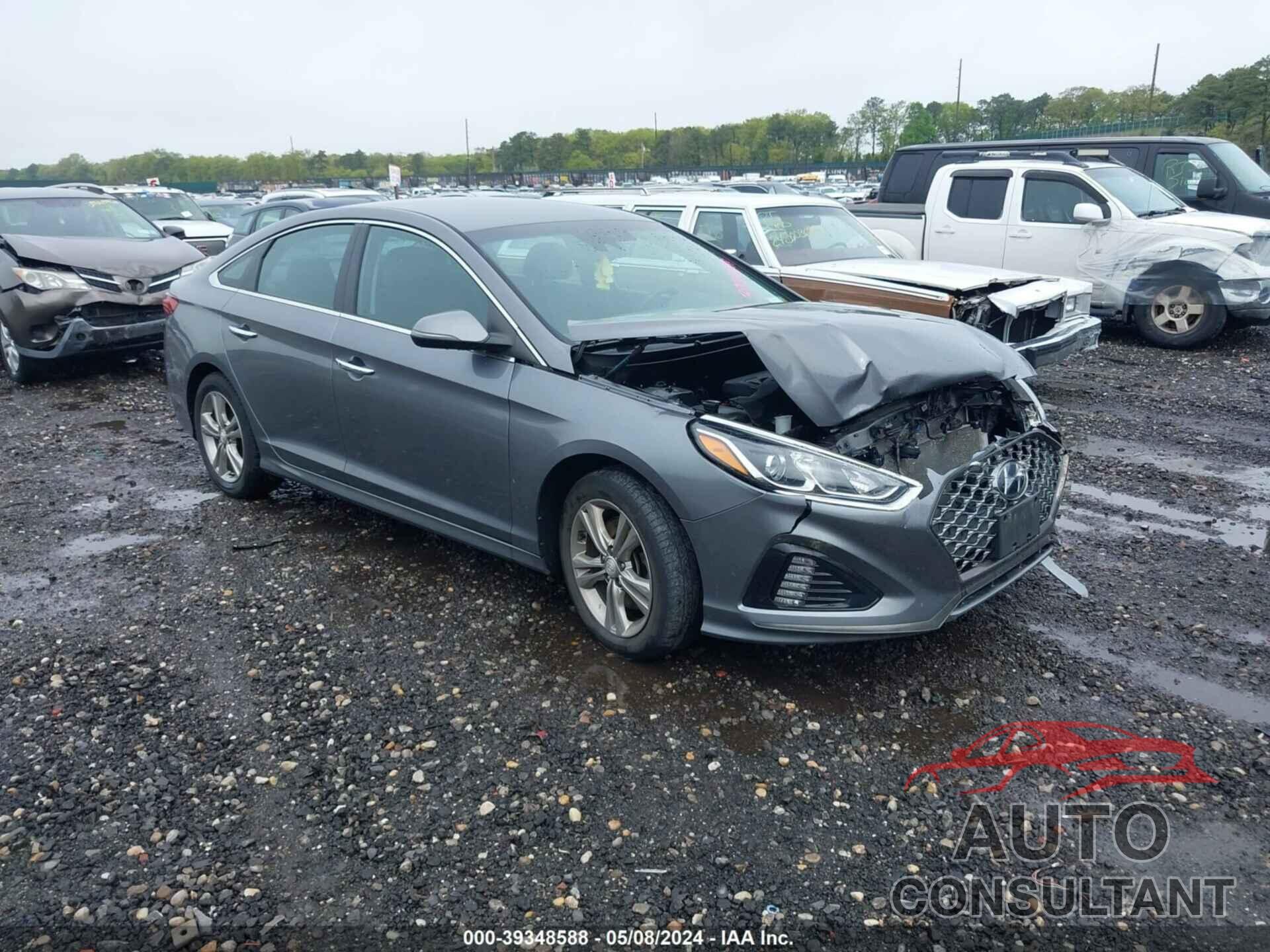 HYUNDAI SONATA 2019 - 5NPE34AF5KH815856