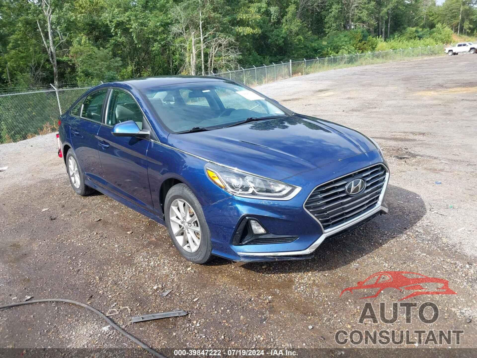 HYUNDAI SONATA 2019 - 5NPE24AF2KH819303