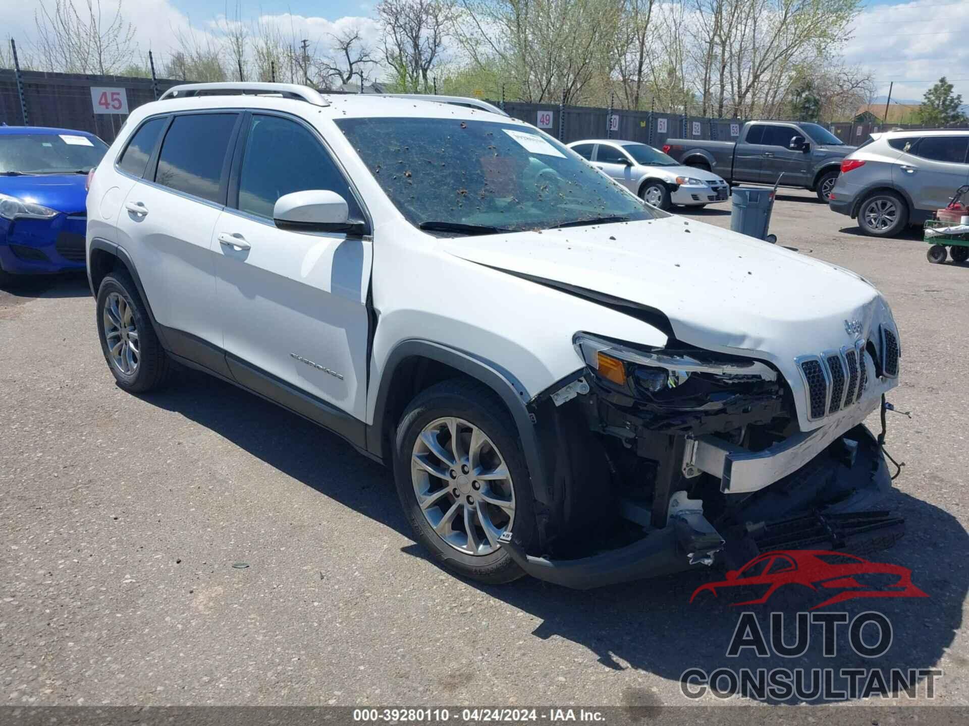 JEEP CHEROKEE 2019 - 1C4PJLLB8KD122787