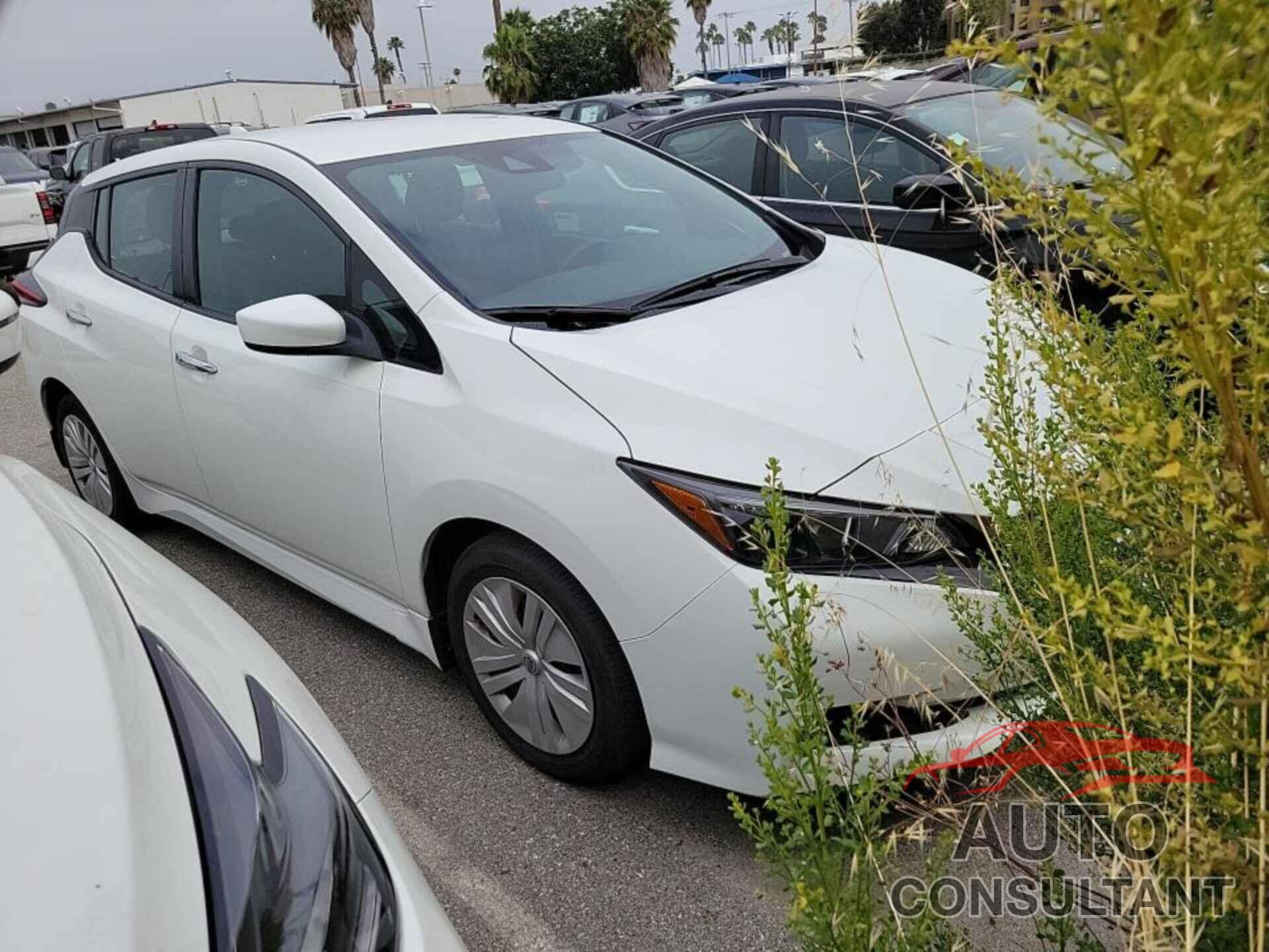 NISSAN LEAF 2021 - 1N4AZ1BV7MC556342