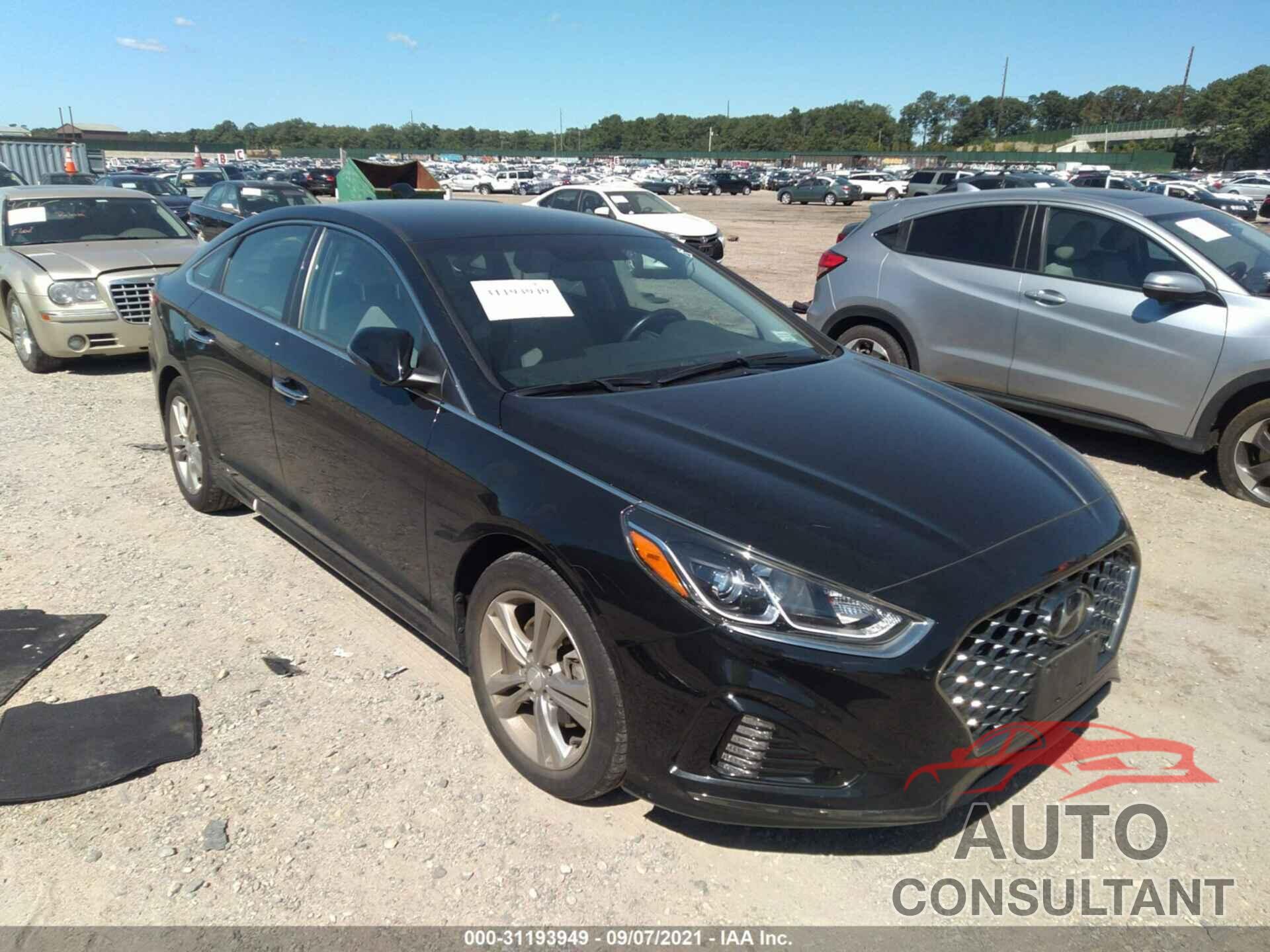 HYUNDAI SONATA 2019 - 5NPE34AF3KH819940