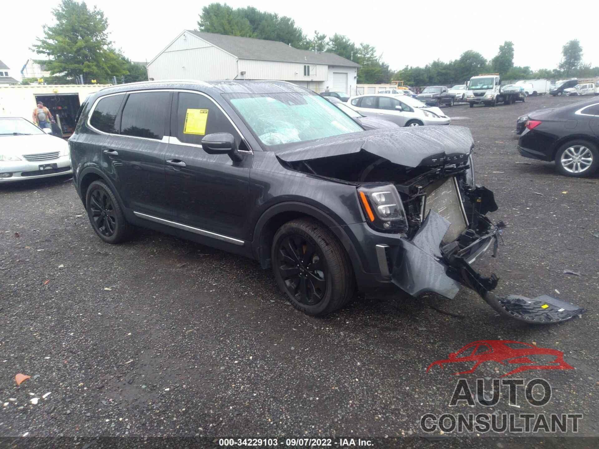 KIA TELLURIDE 2021 - 5XYP3DHC9MG118396