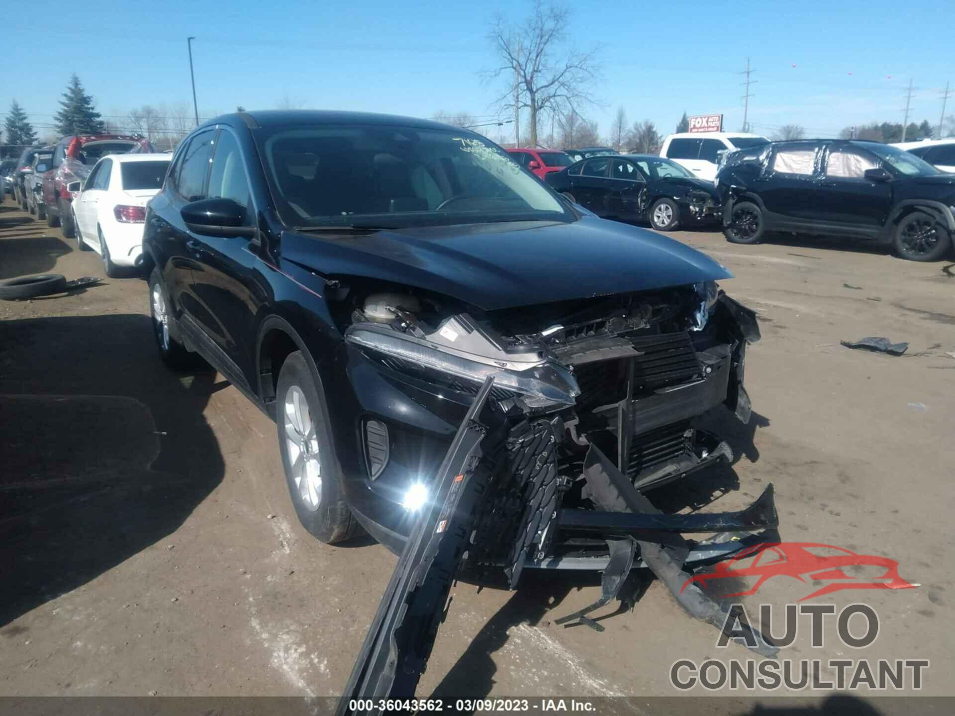 FORD ESCAPE 2021 - 1FMCU9G62MUA07168
