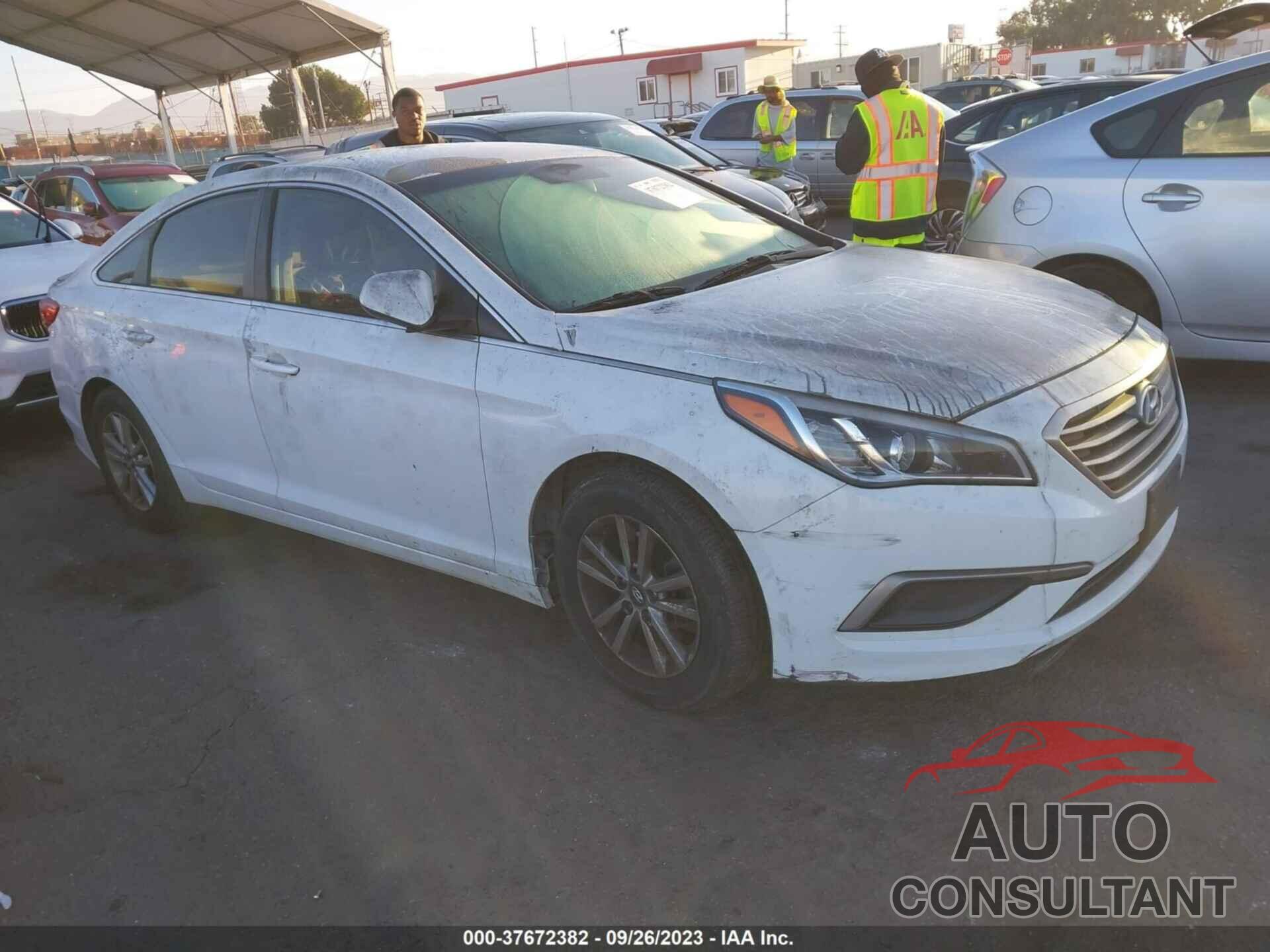 HYUNDAI SONATA 2016 - 5NPE24AF2GH398920