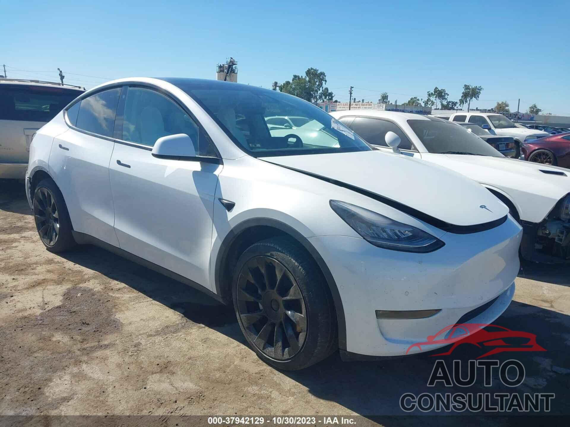 TESLA MODEL Y 2020 - 5YJYGDEE2LF056344