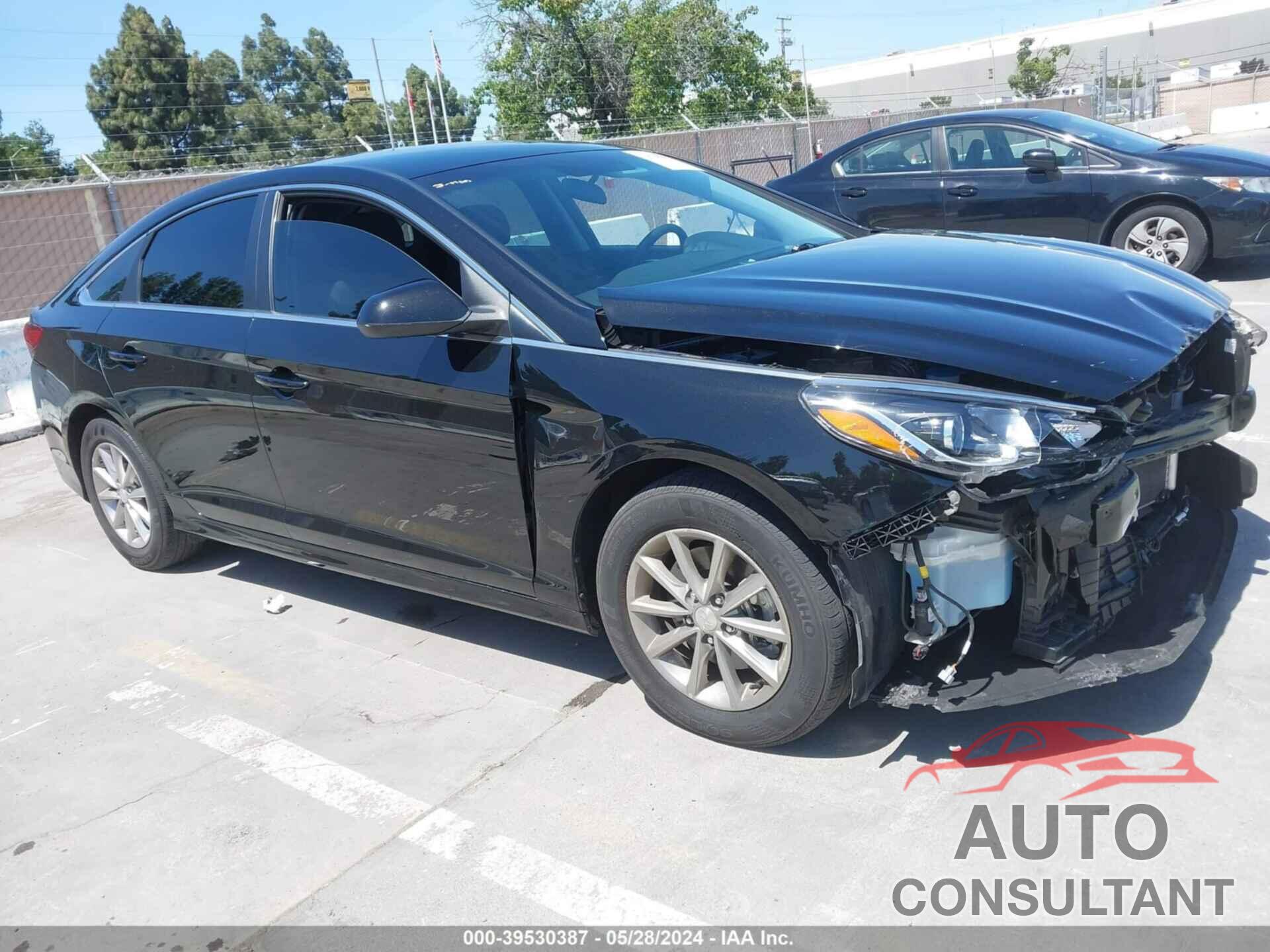 HYUNDAI SONATA 2019 - 5NPE24AF0KH762096