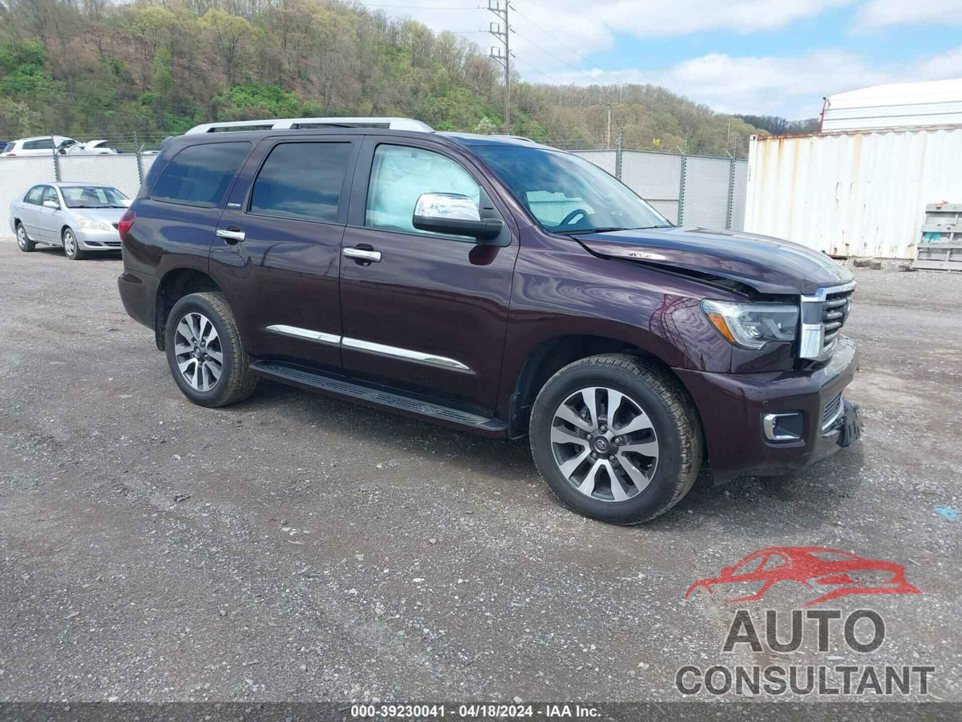 TOYOTA SEQUOIA 2019 - 5TDJY5G10KS168259