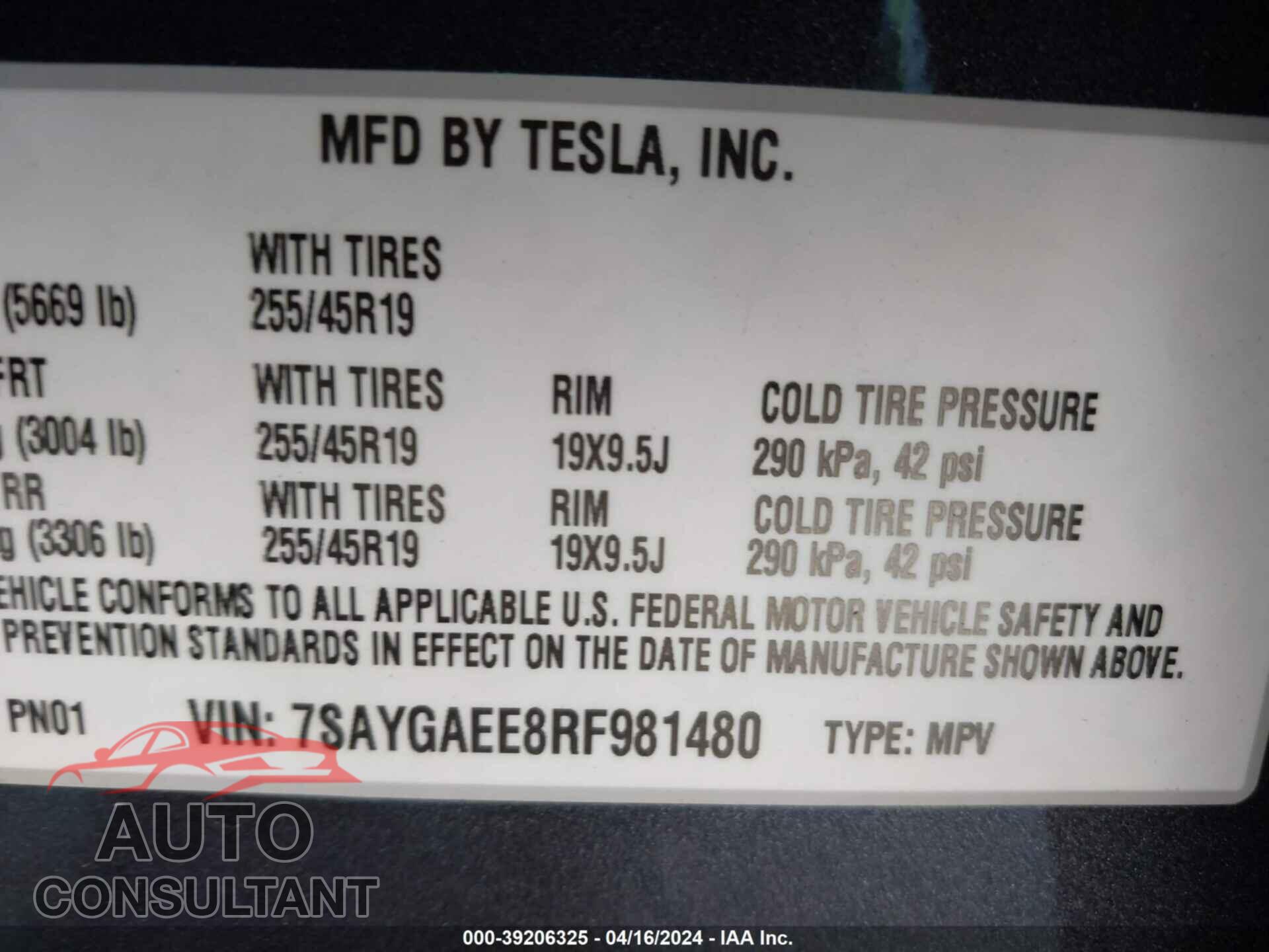 TESLA MODEL Y 2024 - 7SAYGAEE8RF981480