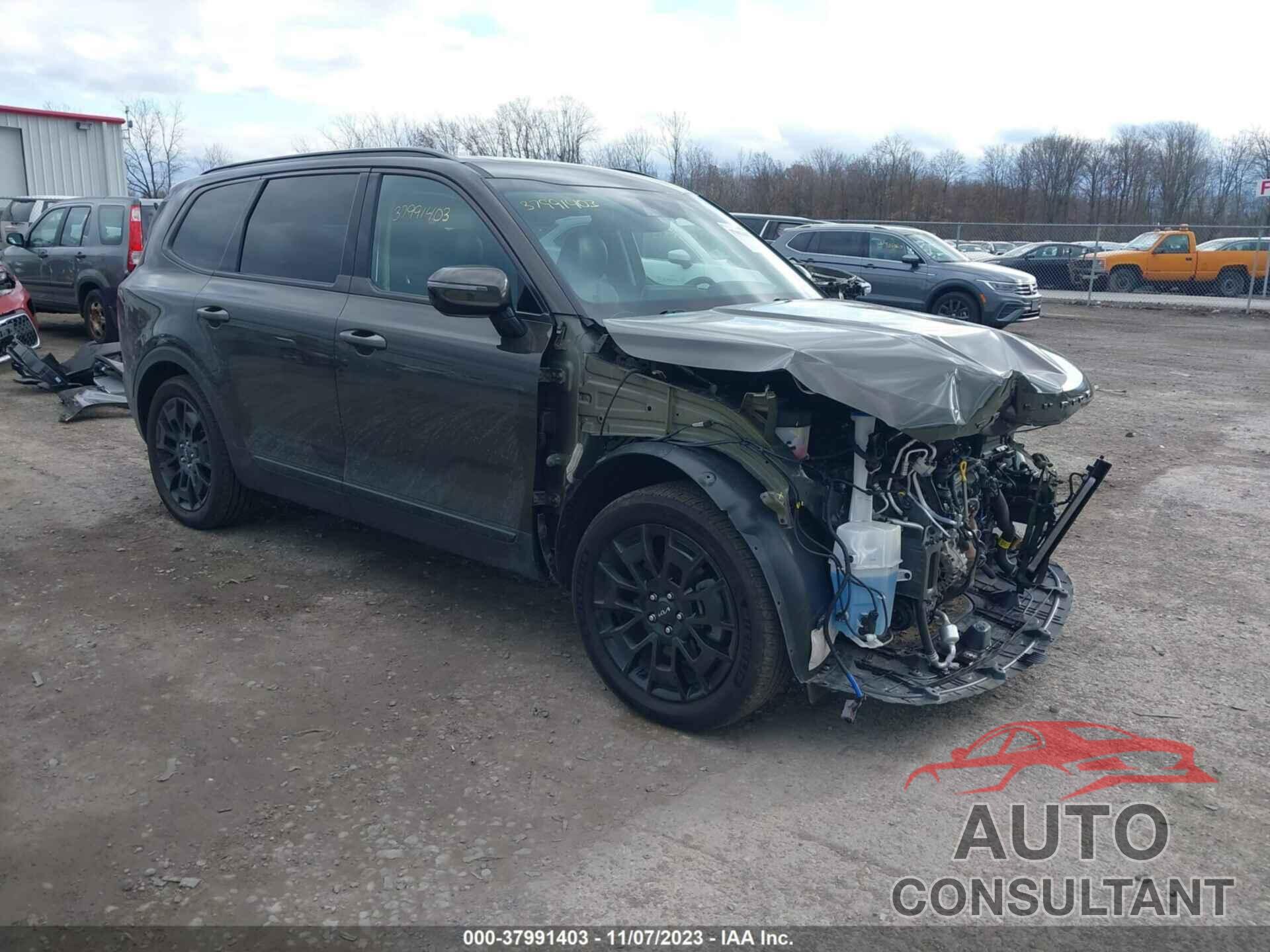 KIA TELLURIDE 2022 - 5XYP5DHCXNG202318