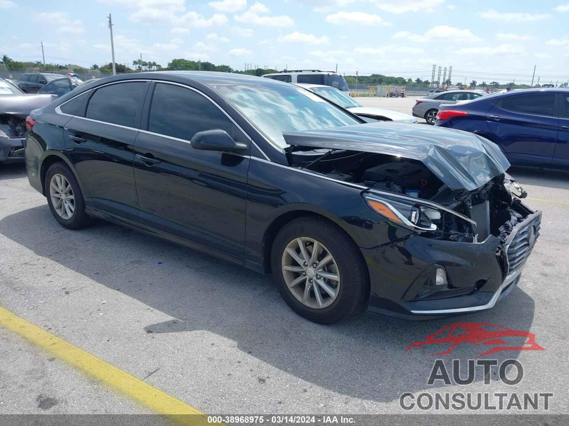 HYUNDAI SONATA 2019 - 5NPE24AF0KH819431