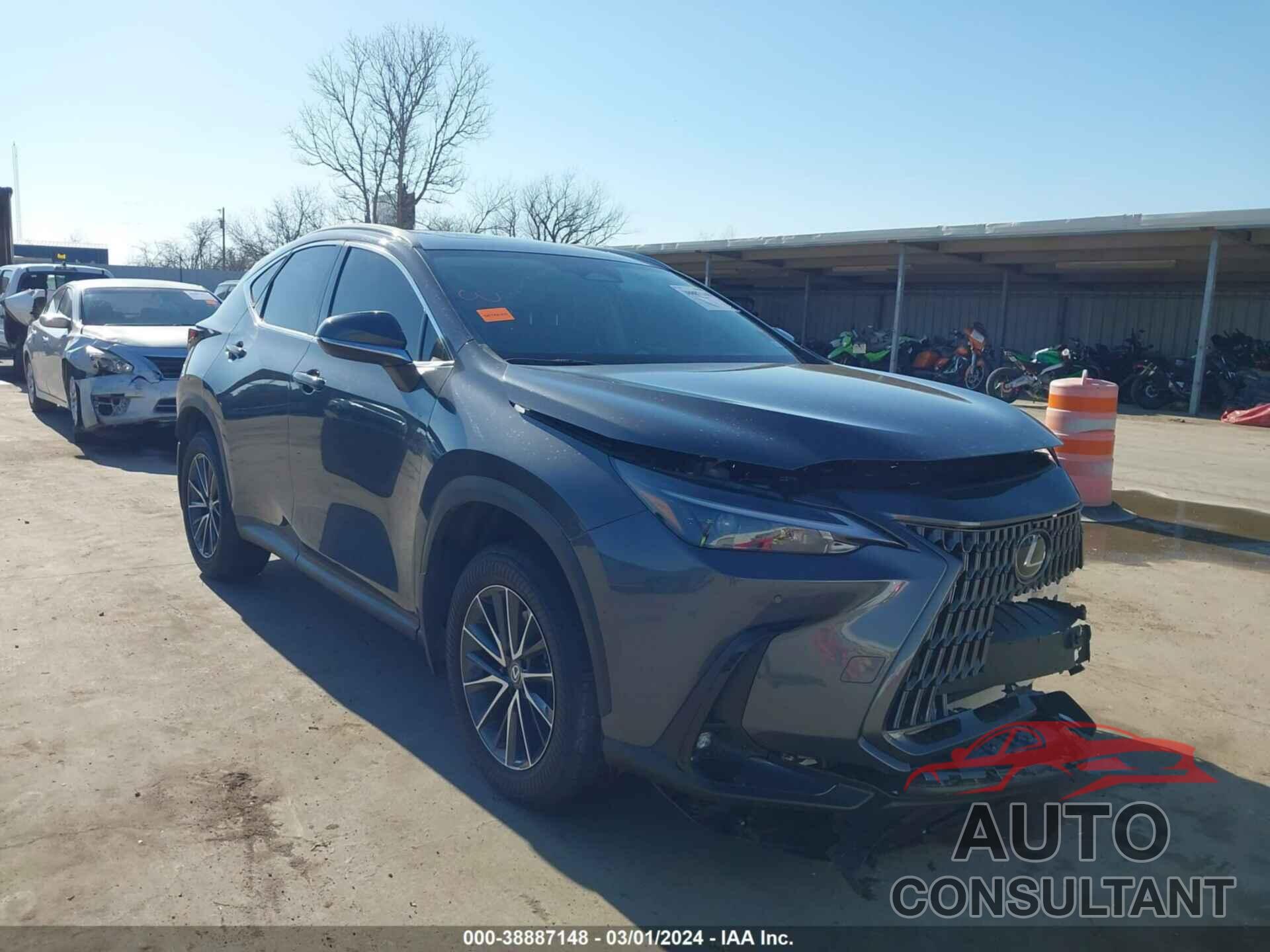 LEXUS NX 350 2024 - 2T2GGCEZ4RC038140